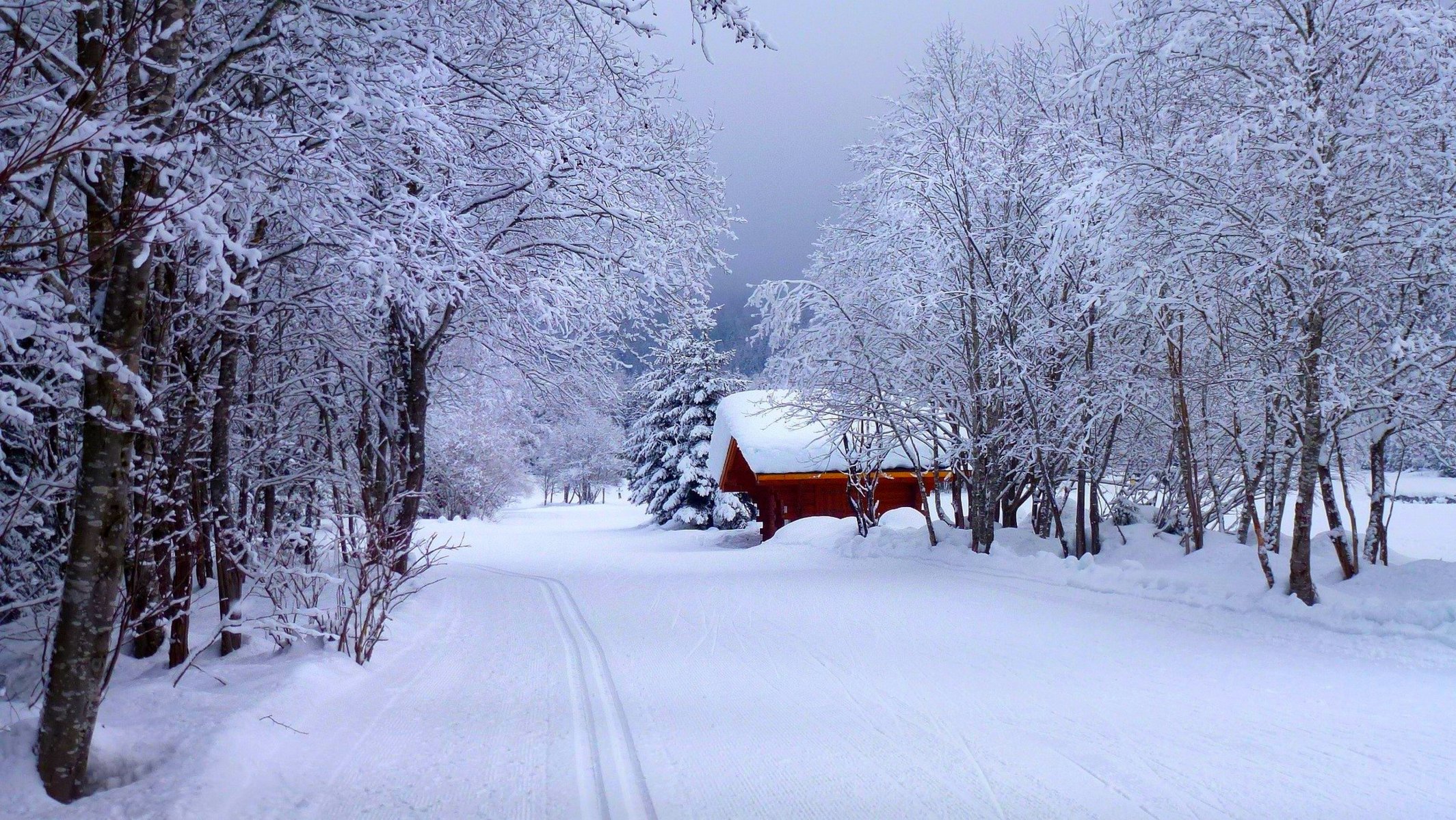 nature road house forest winter snow sky landscape winter white cool nice
