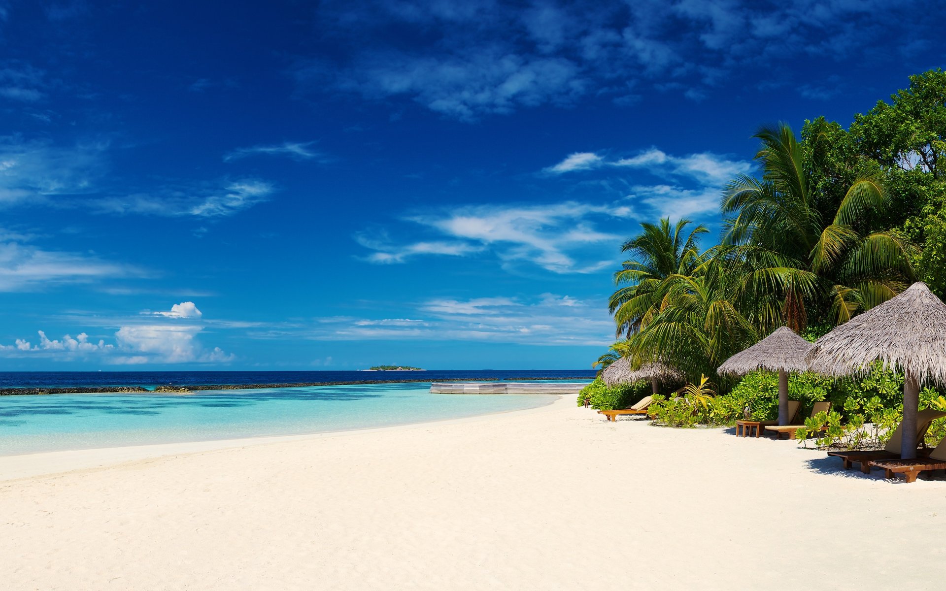 plage palmiers océan