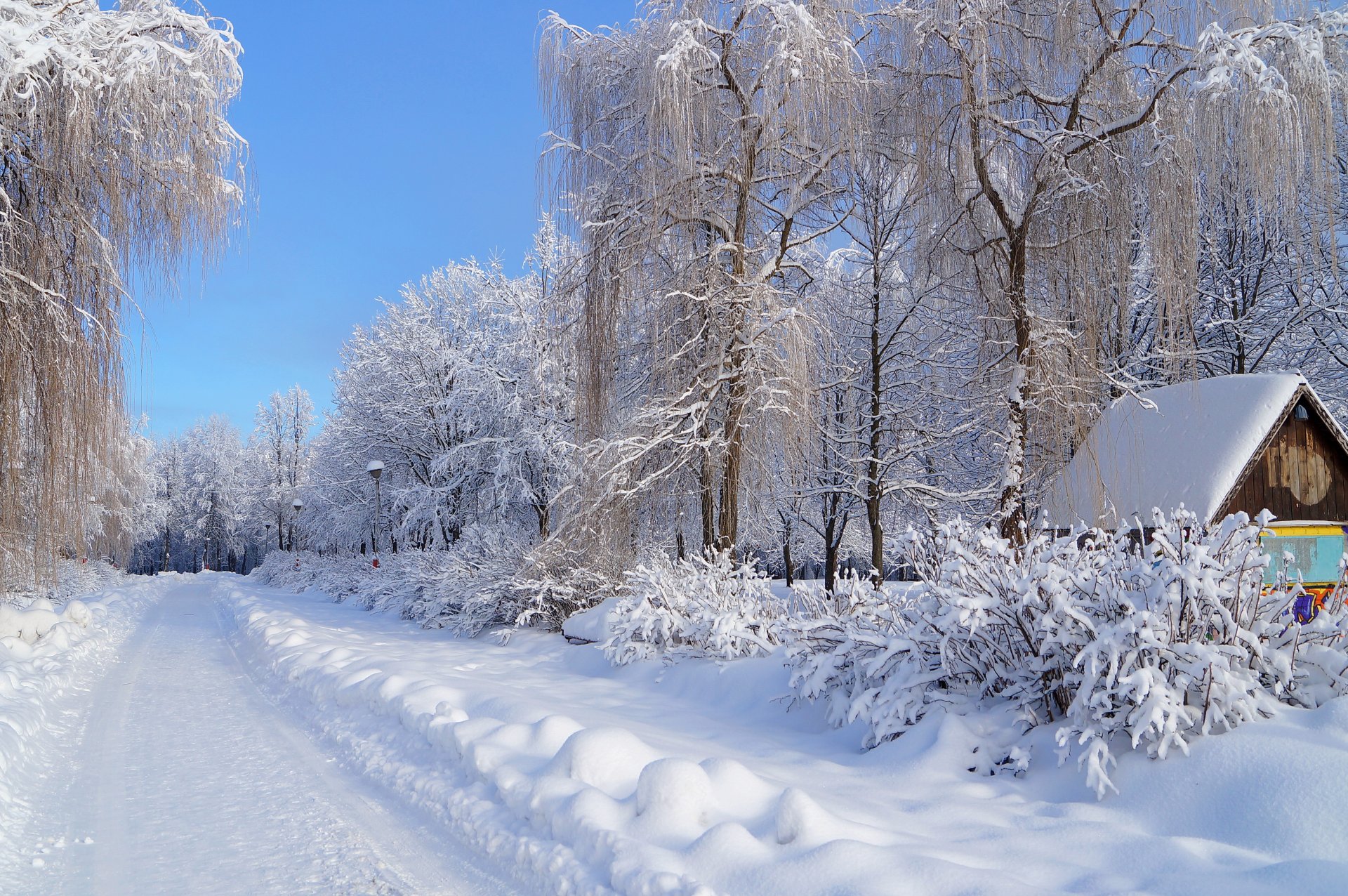 inverno neve strada alberi gelo casa cumulo di neve lanterna strada cielo