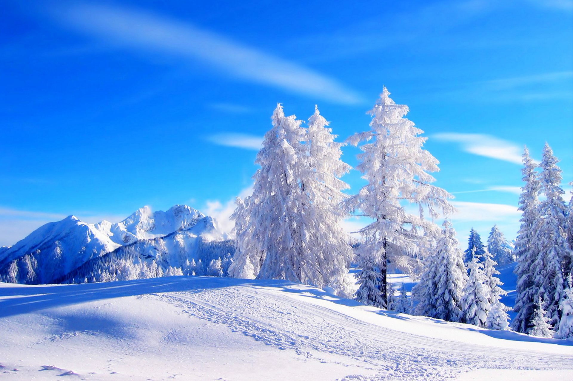 natura montagna inverno neve strada alberi foresta cielo paesaggio inverno bianco fresco bello tramonto