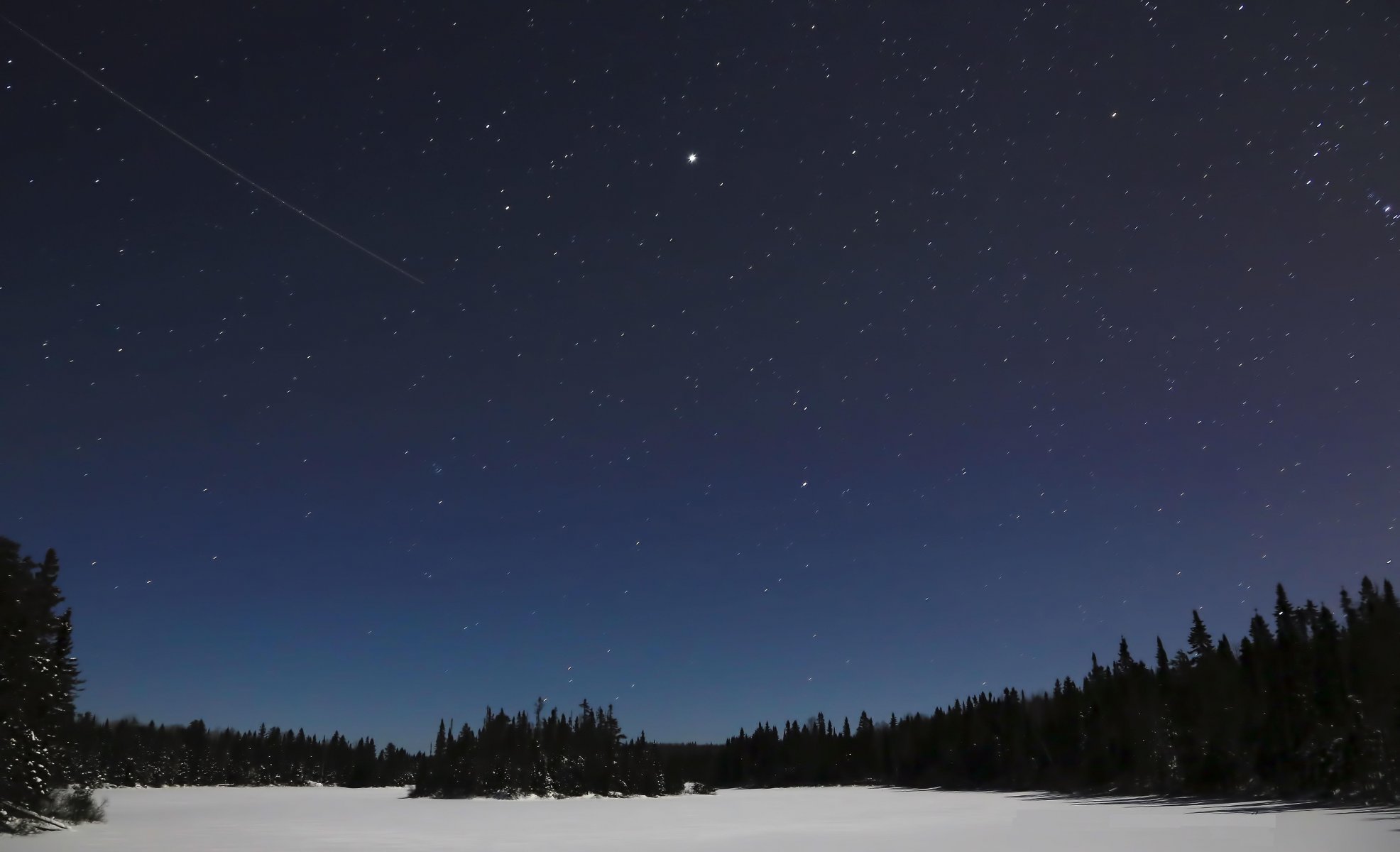 paesaggio natura sagome alberi neve cielo stelle notte