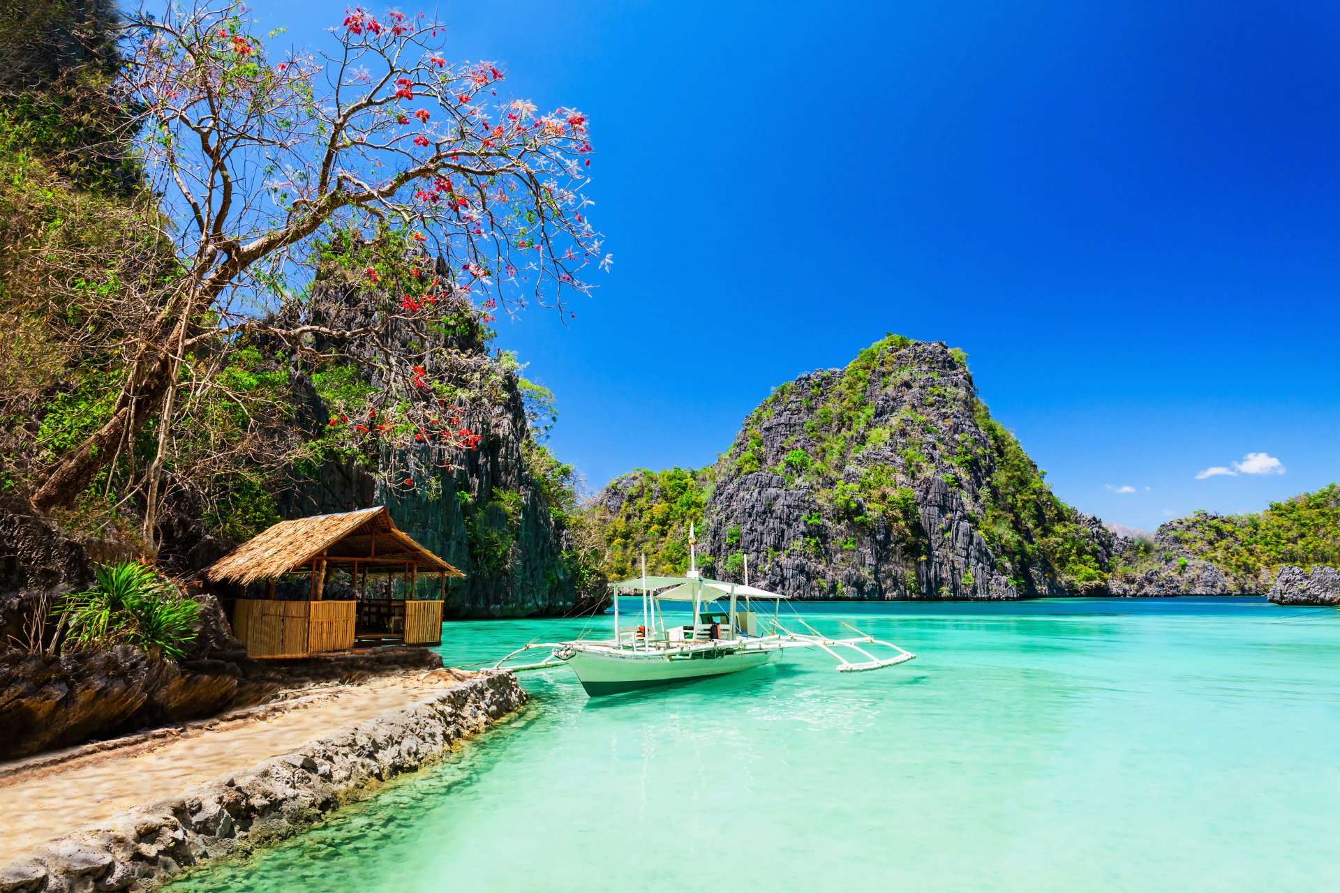 tropisches paradies meer küste strand bäume felsen hütte