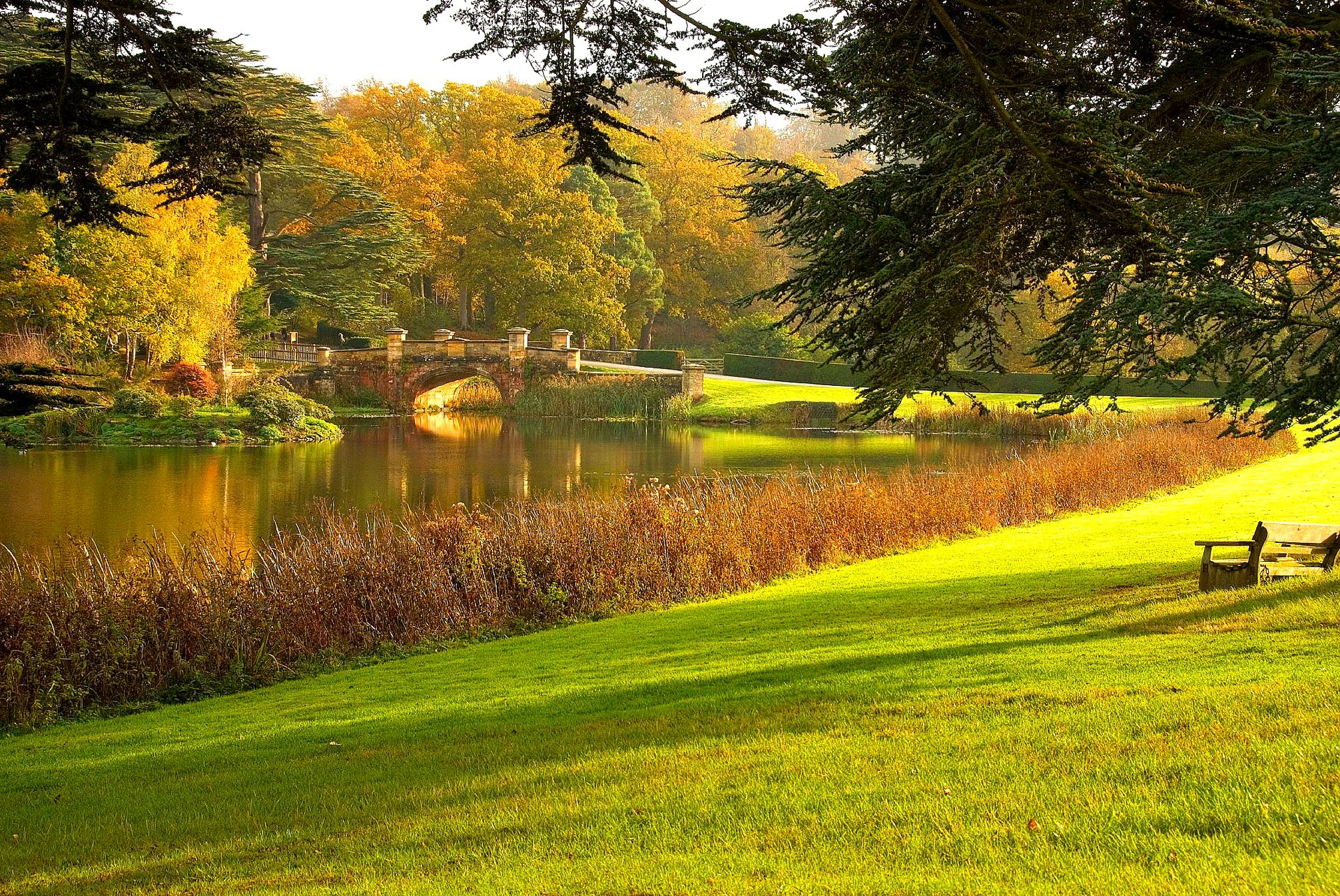 parco prato alberi erba stagno ponte panchina autunno
