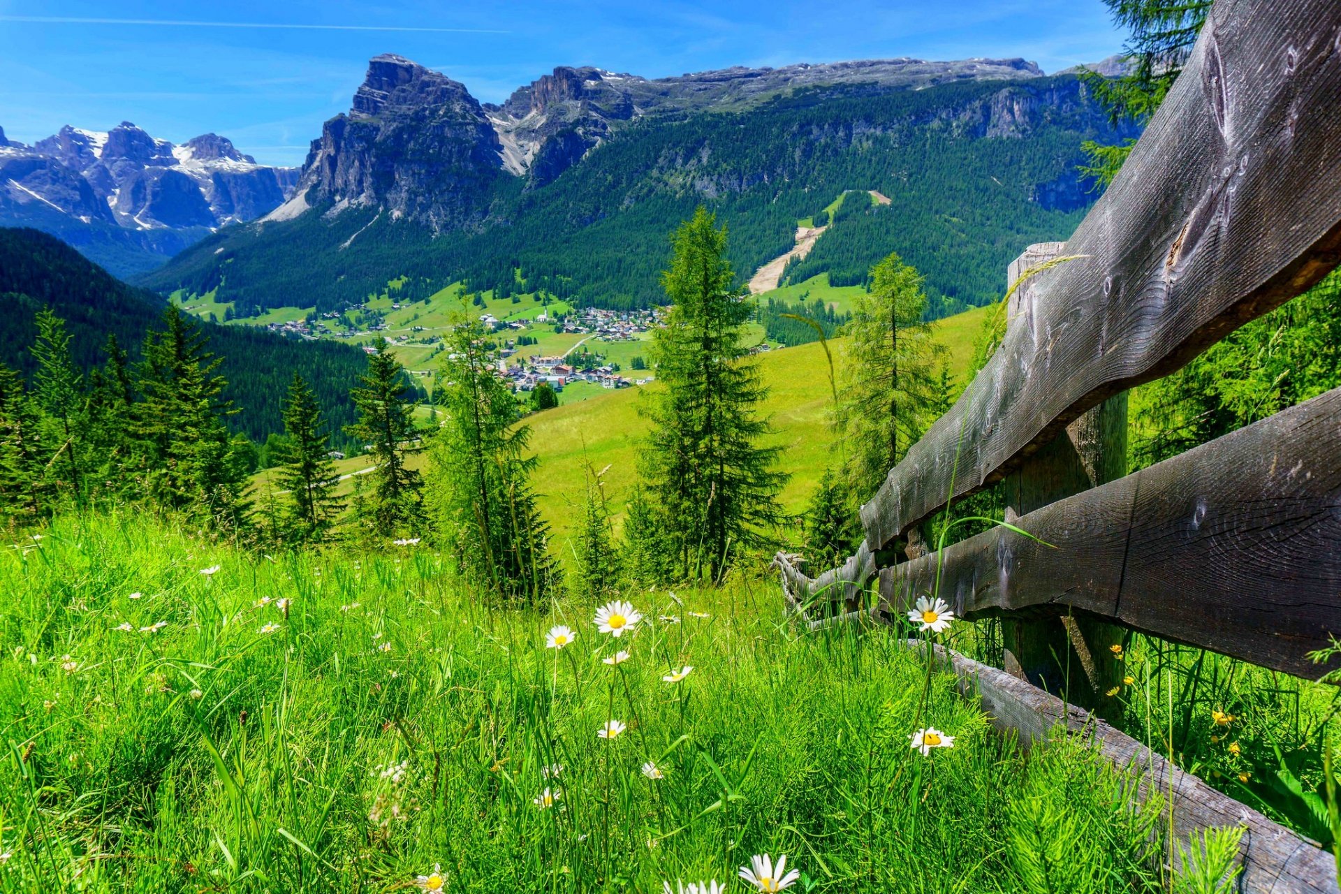 natura primavera montagna casa roccia cielo foresta alberi strada passeggiata fiori primavera montagne roccia