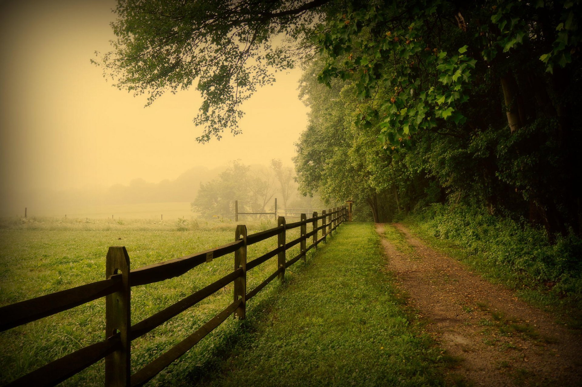 usa pennsylvania fence road fog trees nature