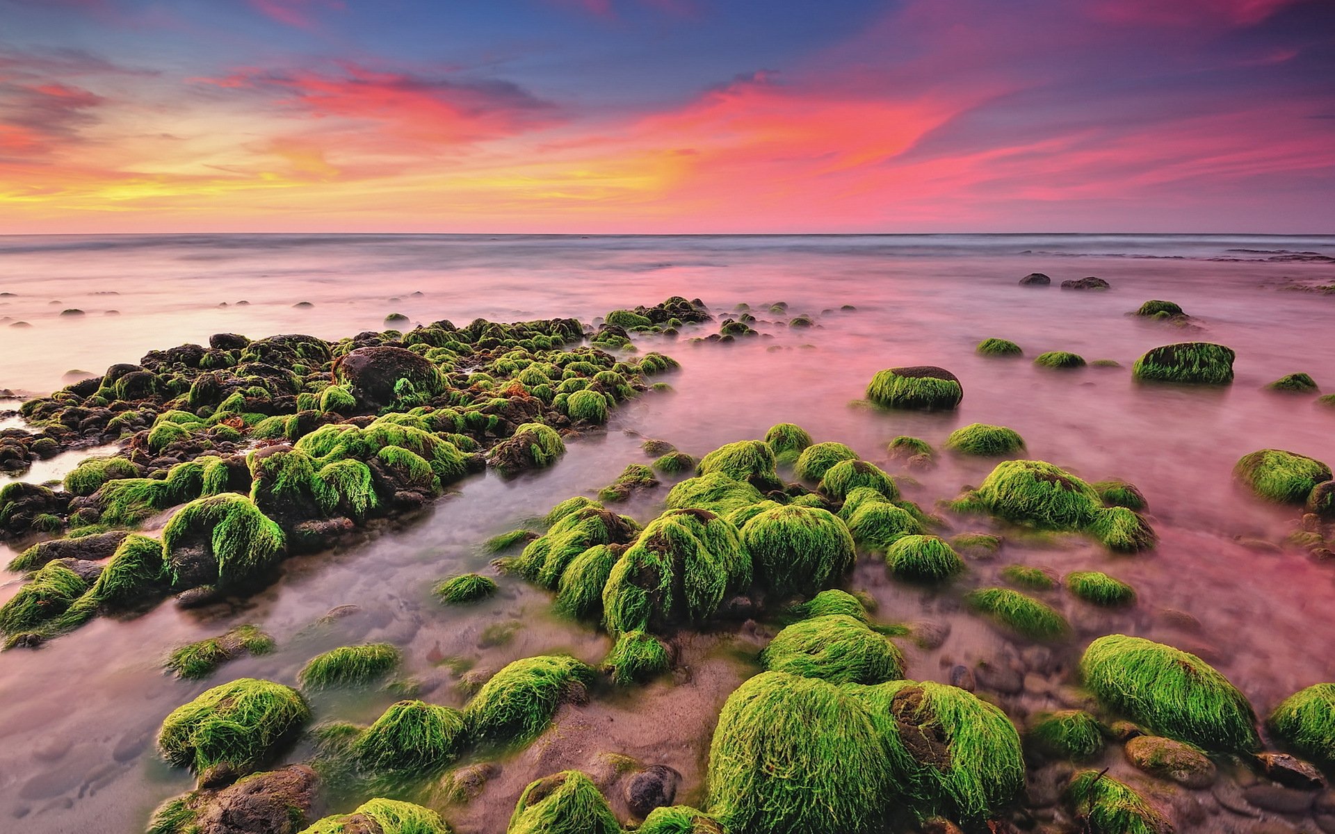 ea beach stones algae morning dawn