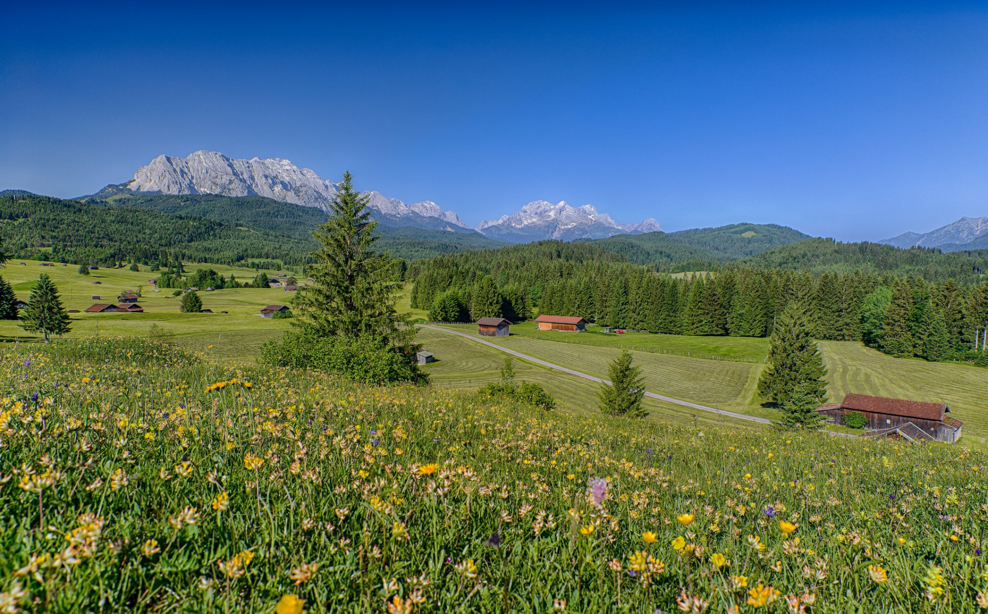 bavaria germany alps meadows flowers mountains forest houses landscape