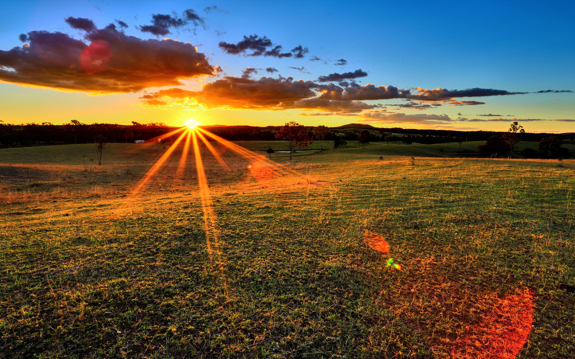 tramonto raggi campo natura sole erba alberi cielo nuvole orizzonte