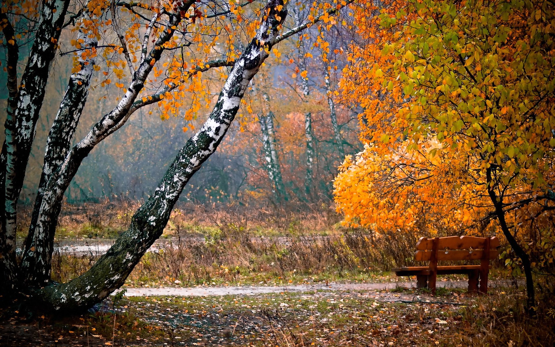 park bank blätter herbst stadt