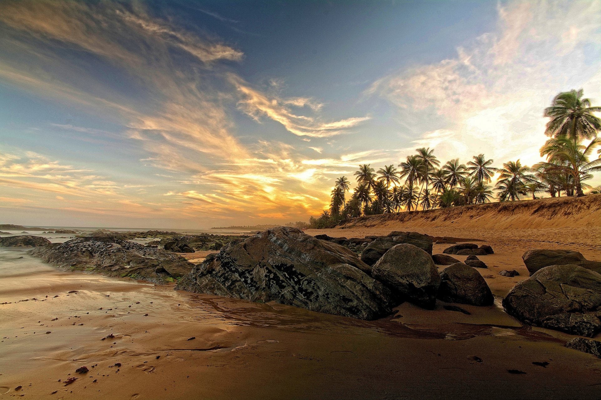 ea beach sand stones palm