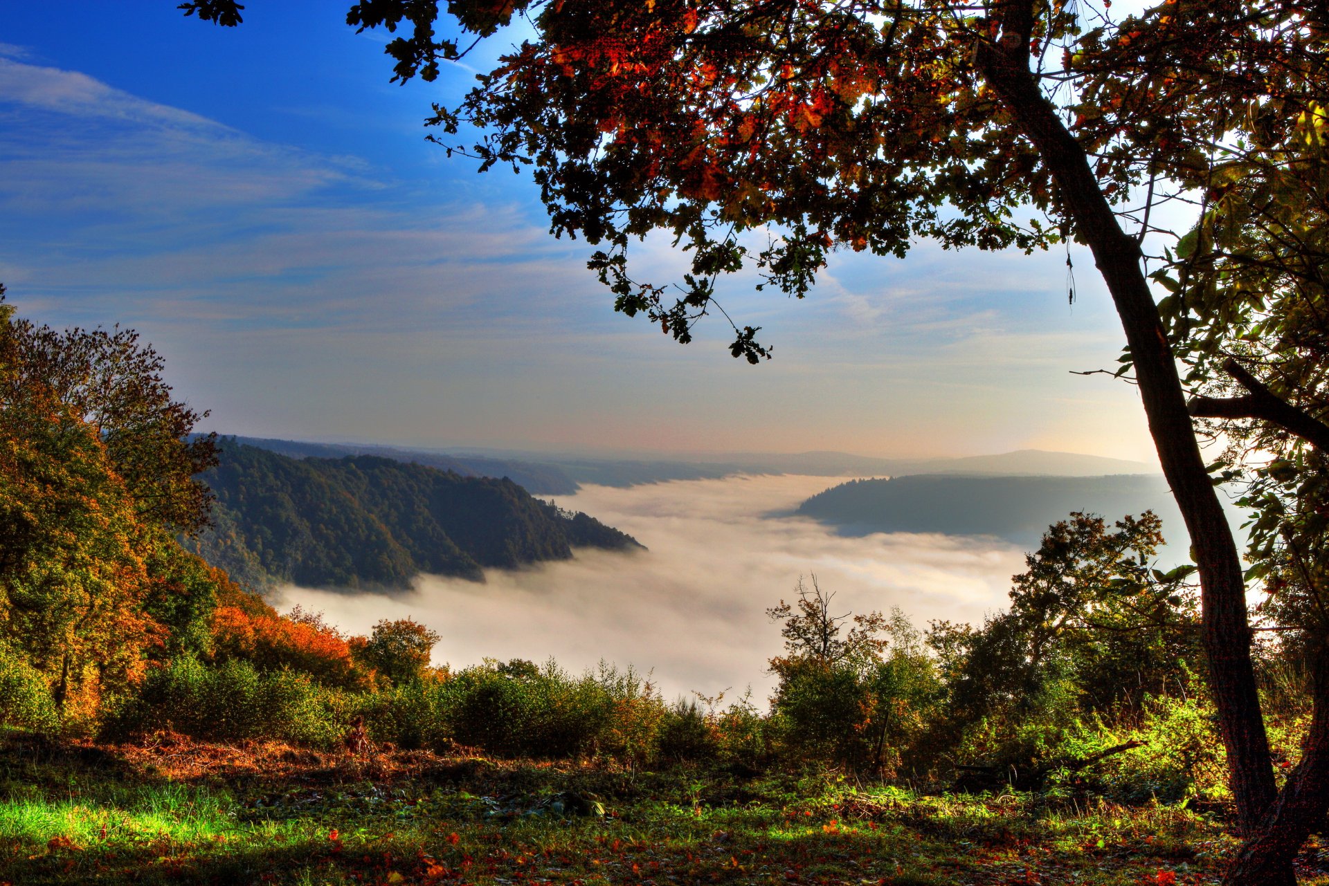 allemagne klotten montagnes forêt brouillard bois