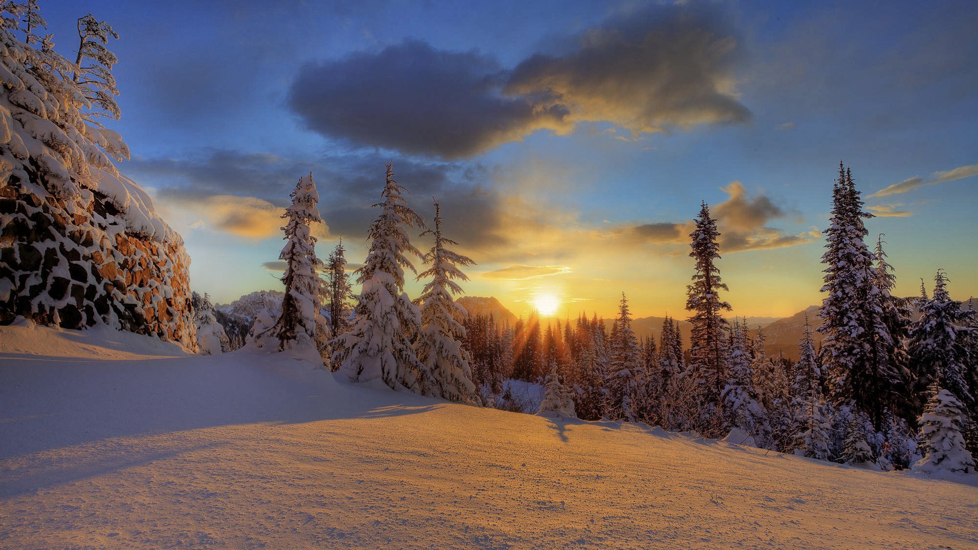 mount rainier park narodowy zima las śnieg góra