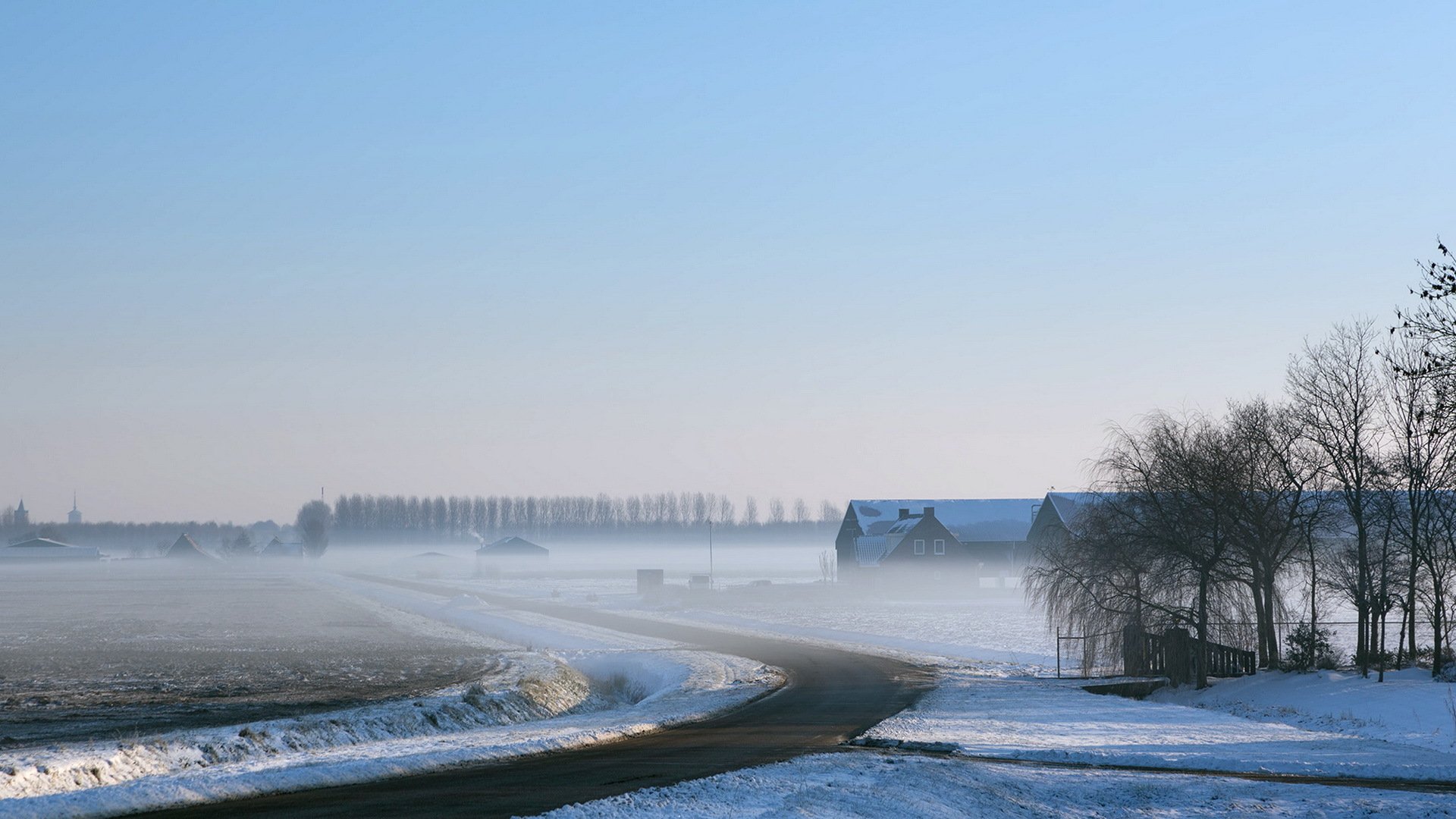 campo camino niebla invierno