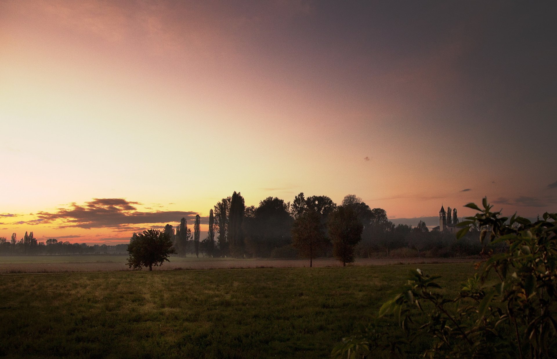 the field tree night sunset summer