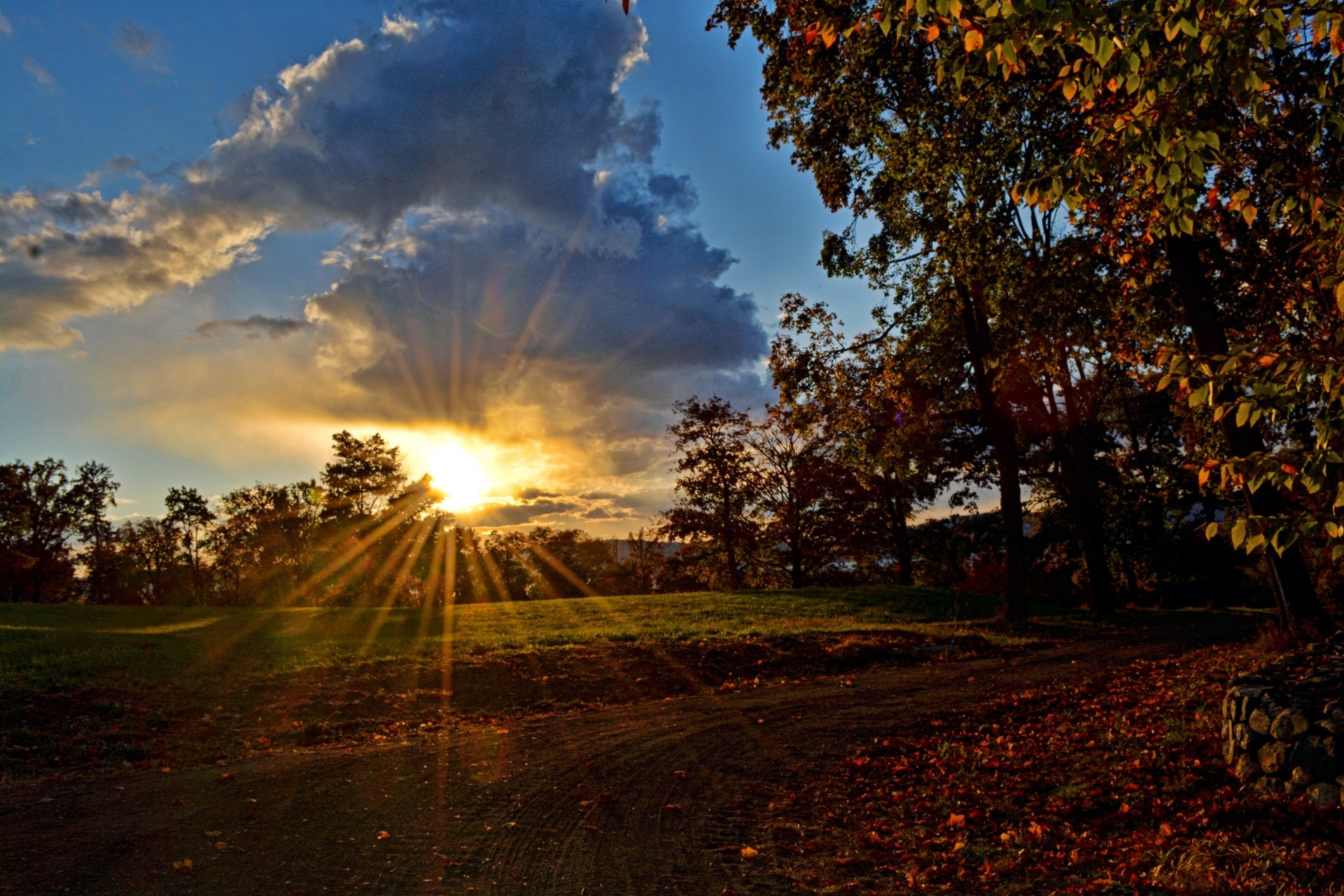 straße bäume himmel wolken sonne strahlen sonnenuntergang abend