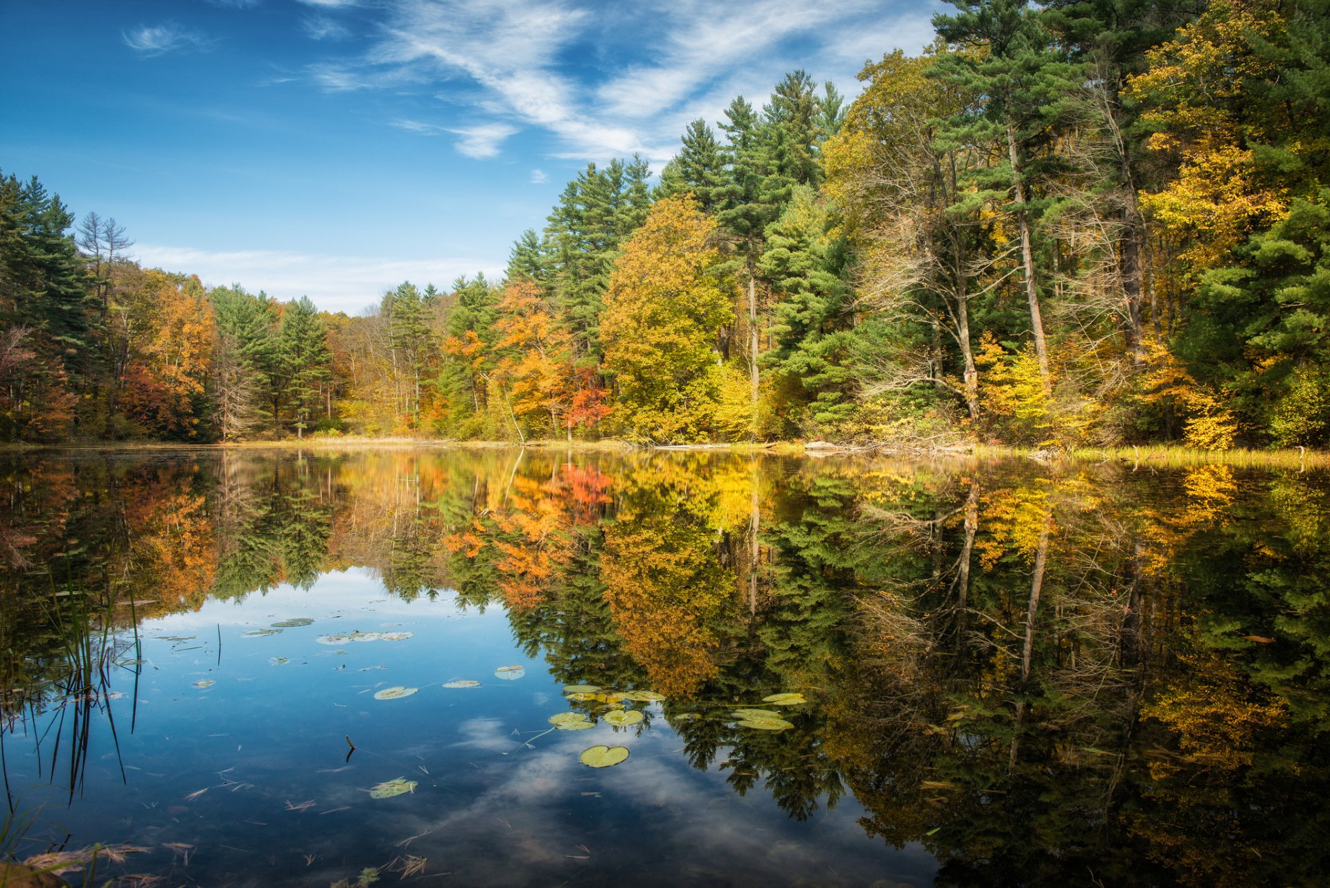 norfolk connecticut see wald herbst bäume reflexion