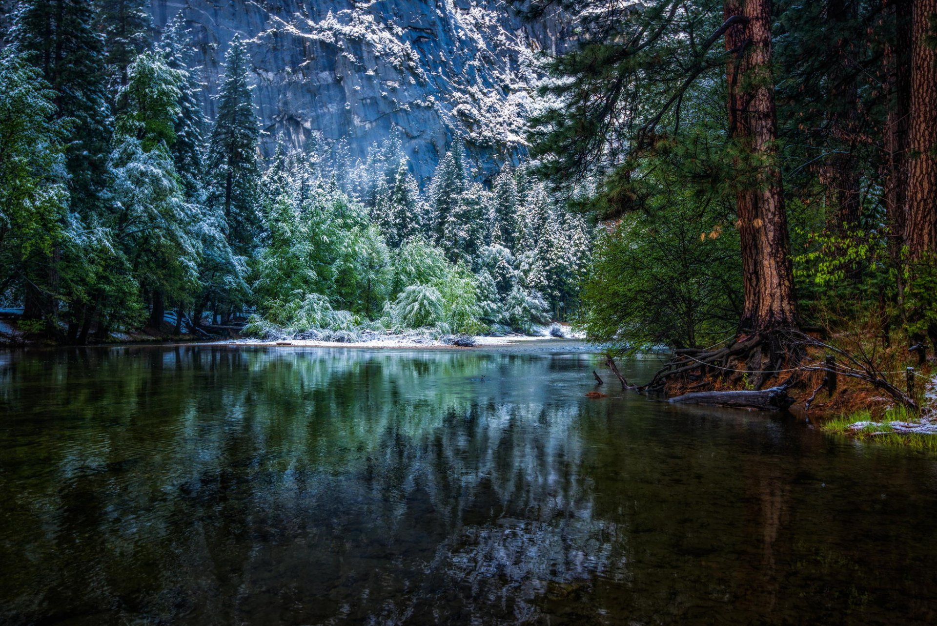 nature forest winter national park river