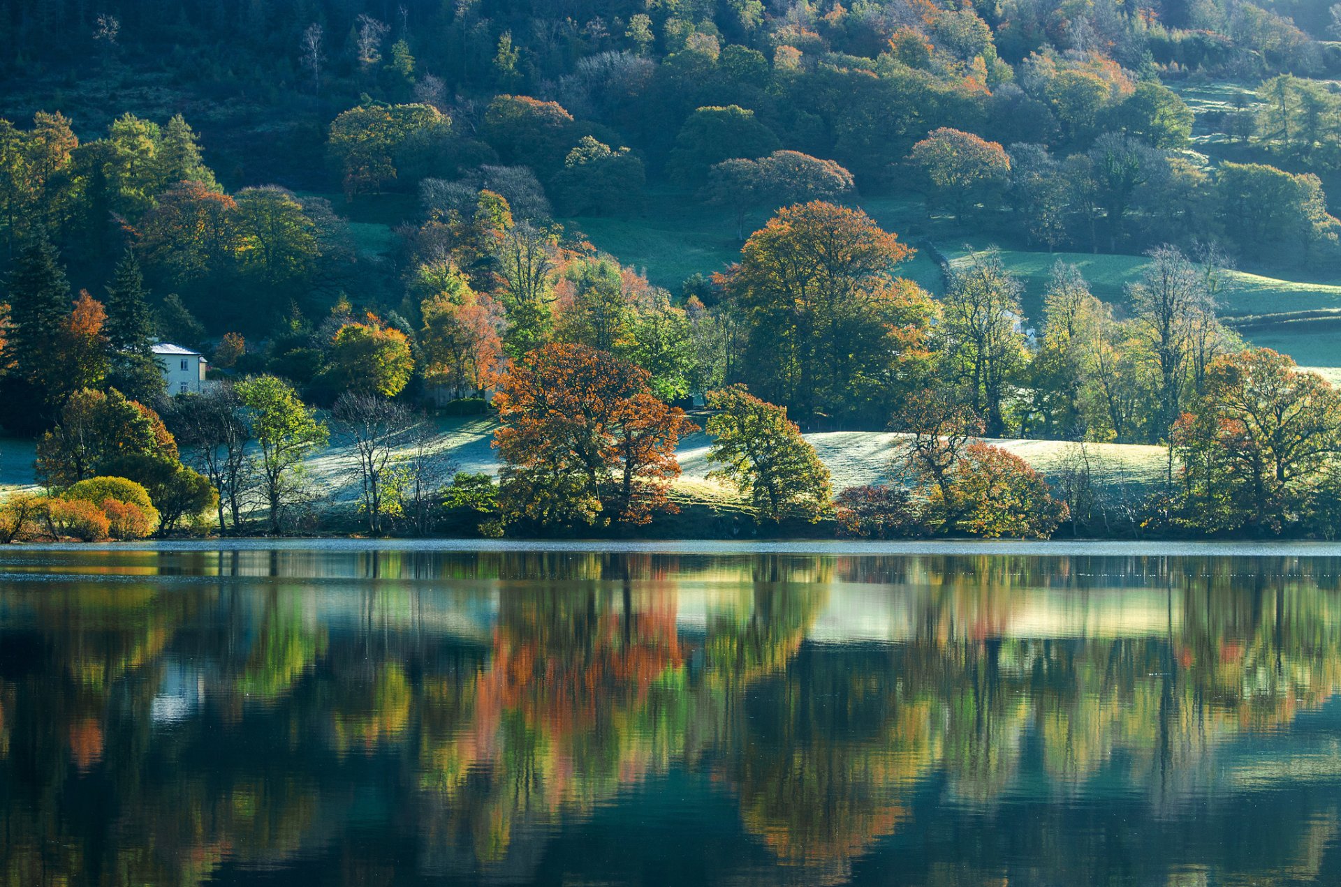 coniston cumbria england lake slope tree autumn