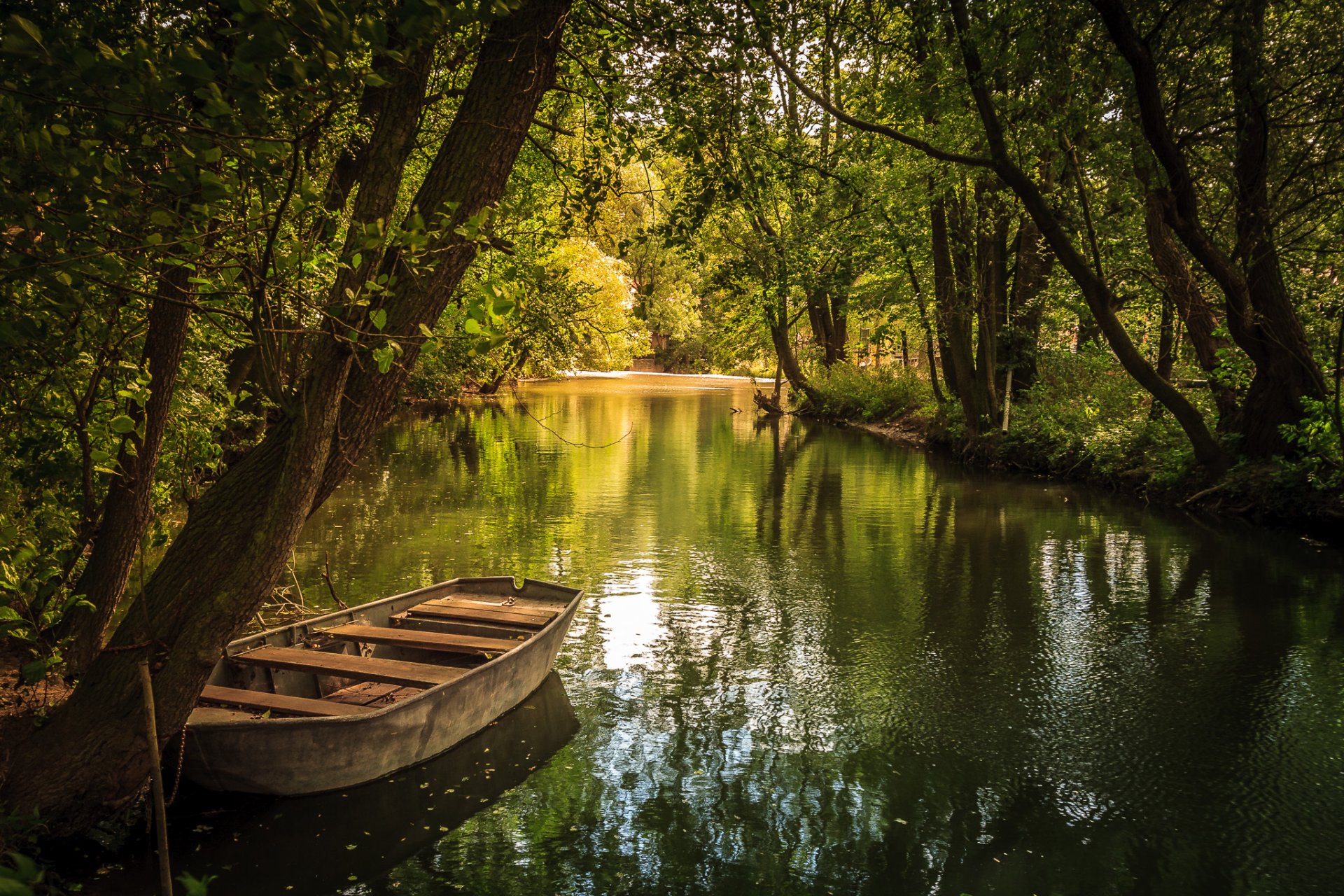 park see teich boot sommer