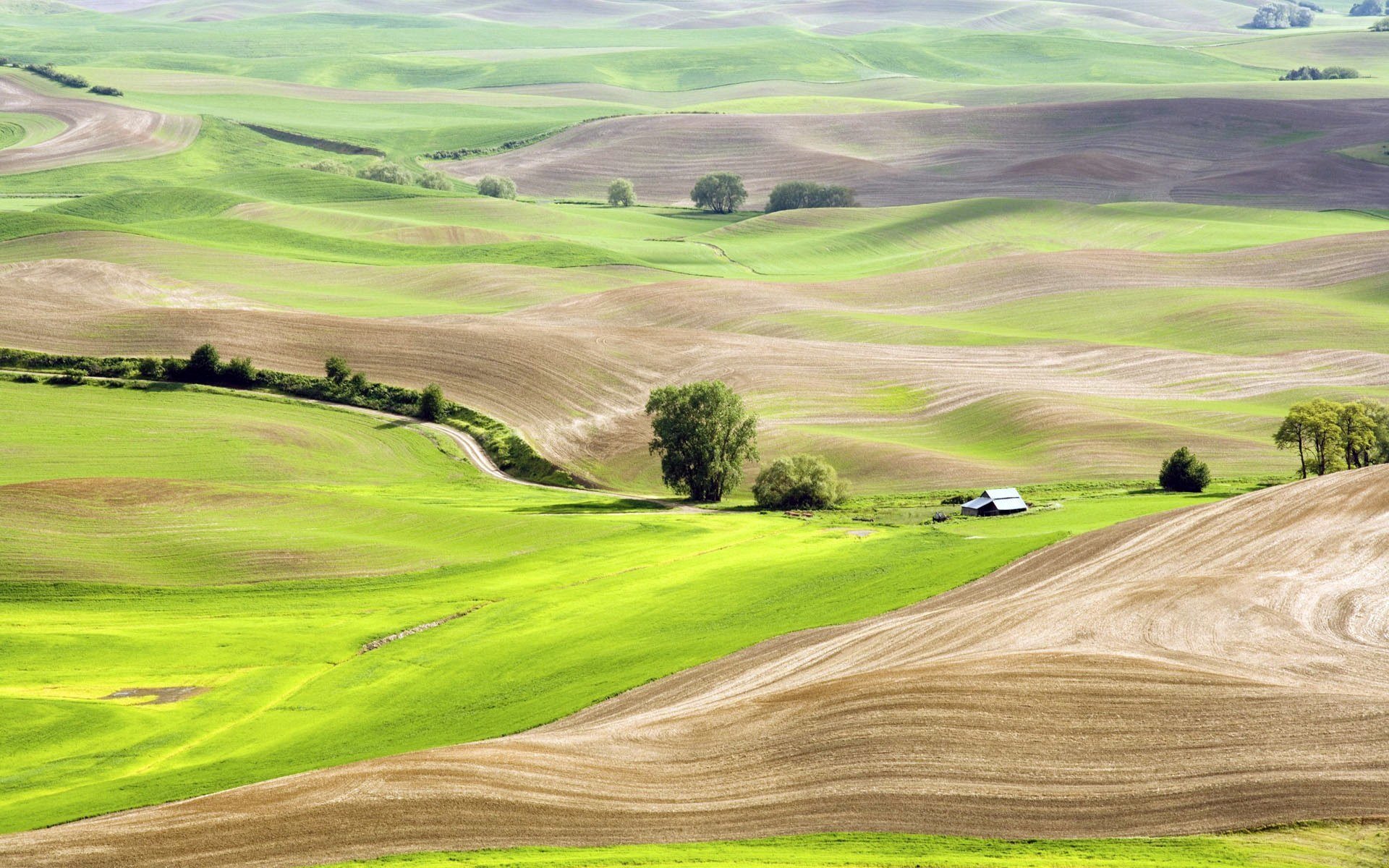 lato wzgórza pola trawa drzewa domek natura