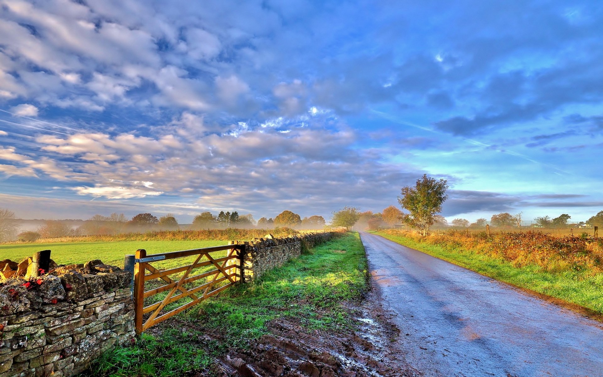 matin route clôture paysage