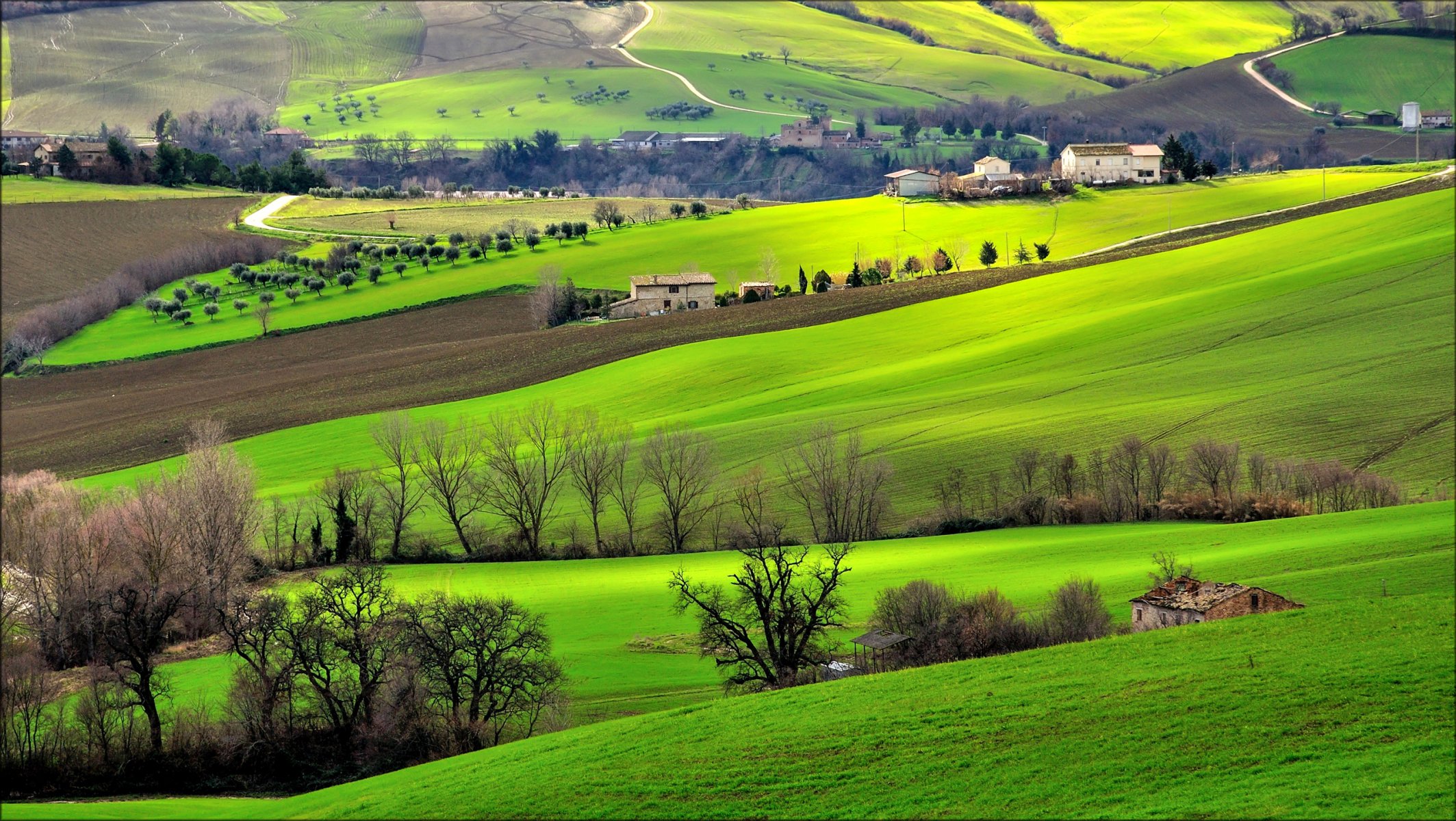 italy campania hills grass of the field tree house