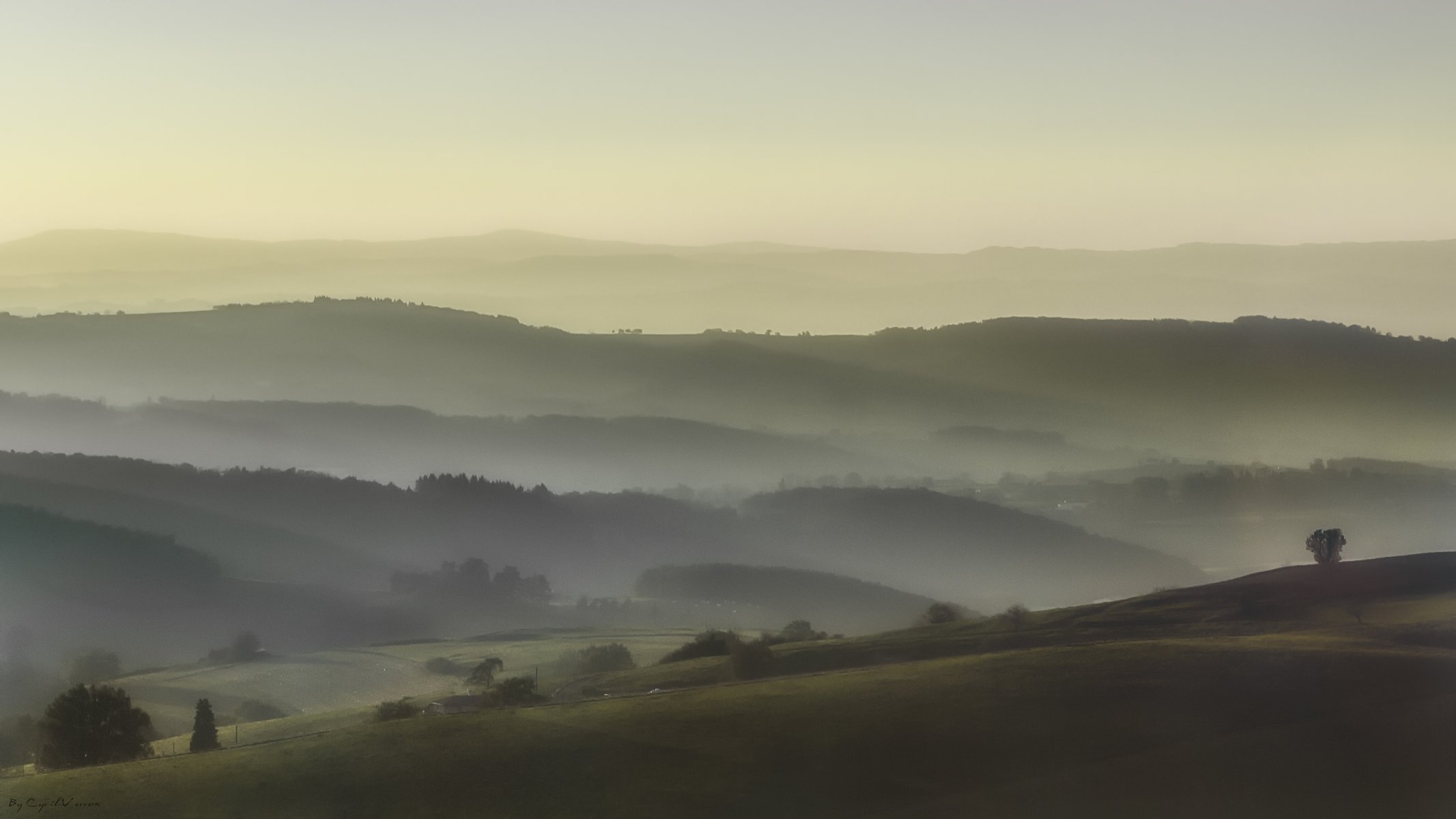 hills views morning fog tree