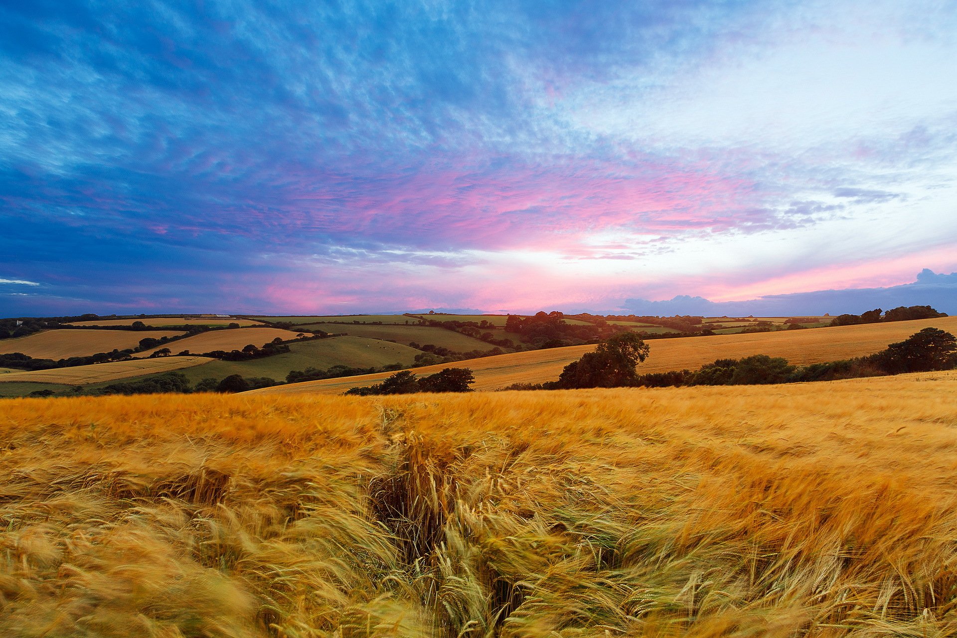 feld himmel sommer landschaft