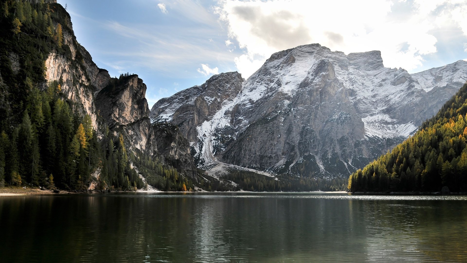 landscape mountains fir trees water nature