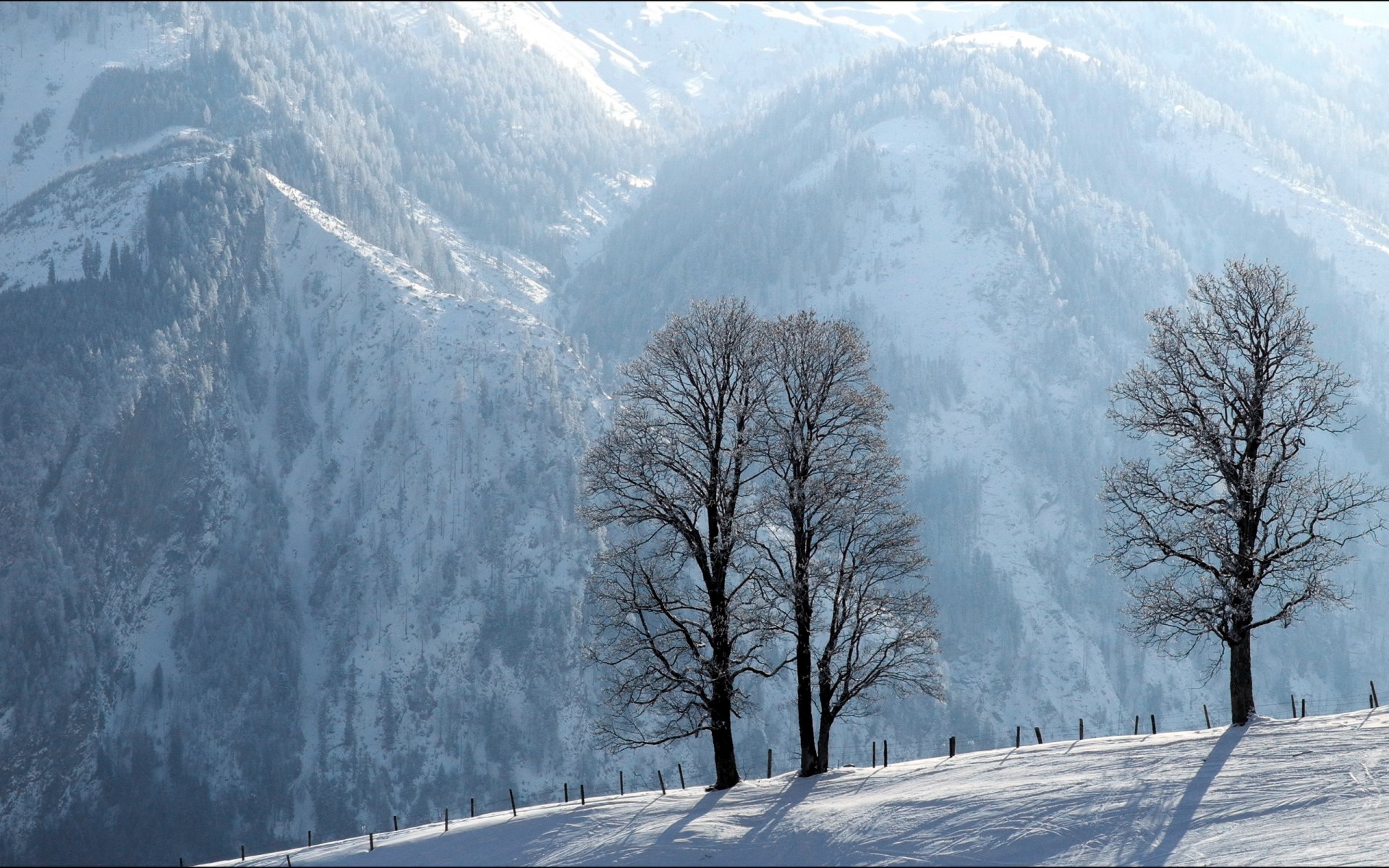 montañas árboles invierno cerca paisaje