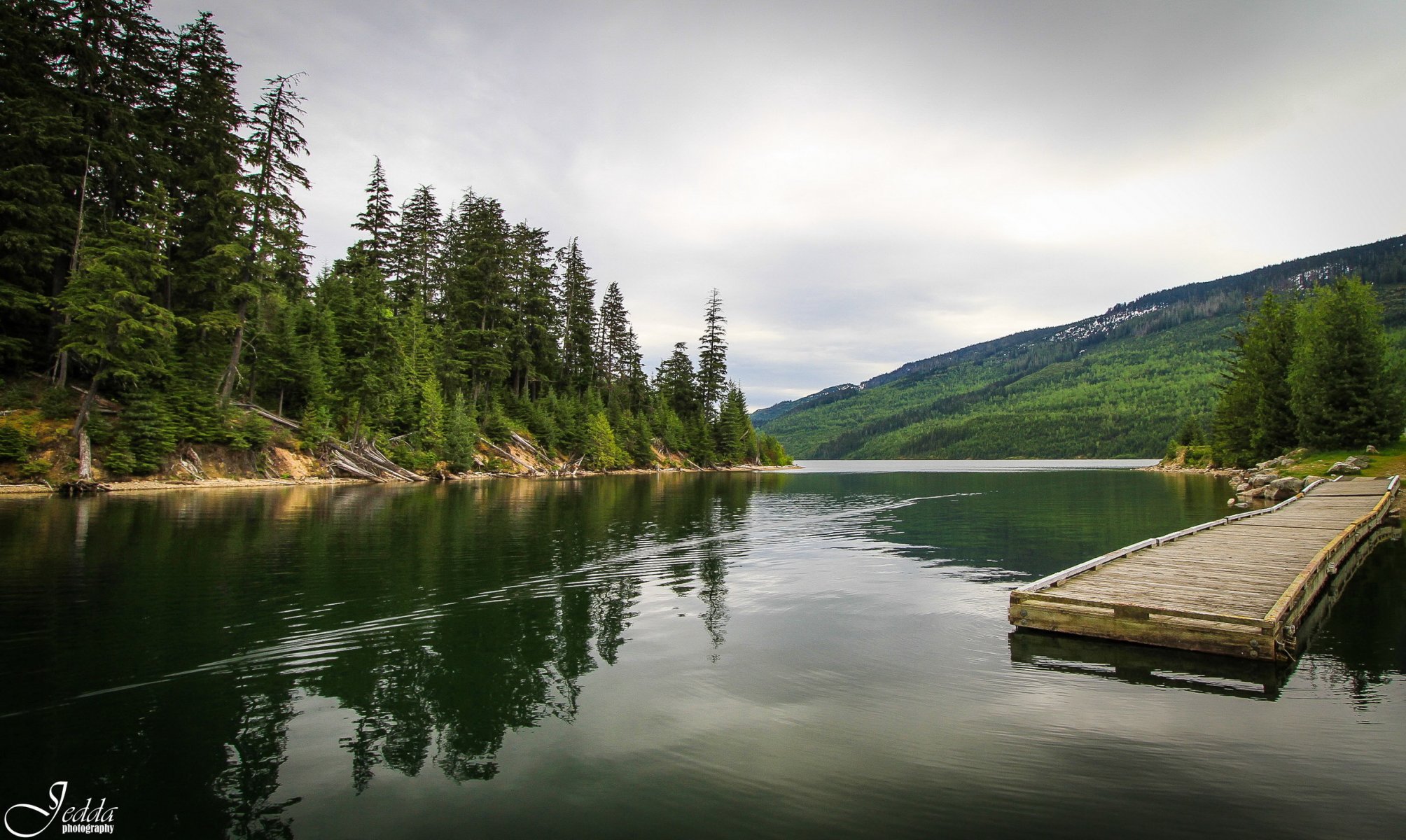 río canadá bosque puente muelle muelle naturaleza