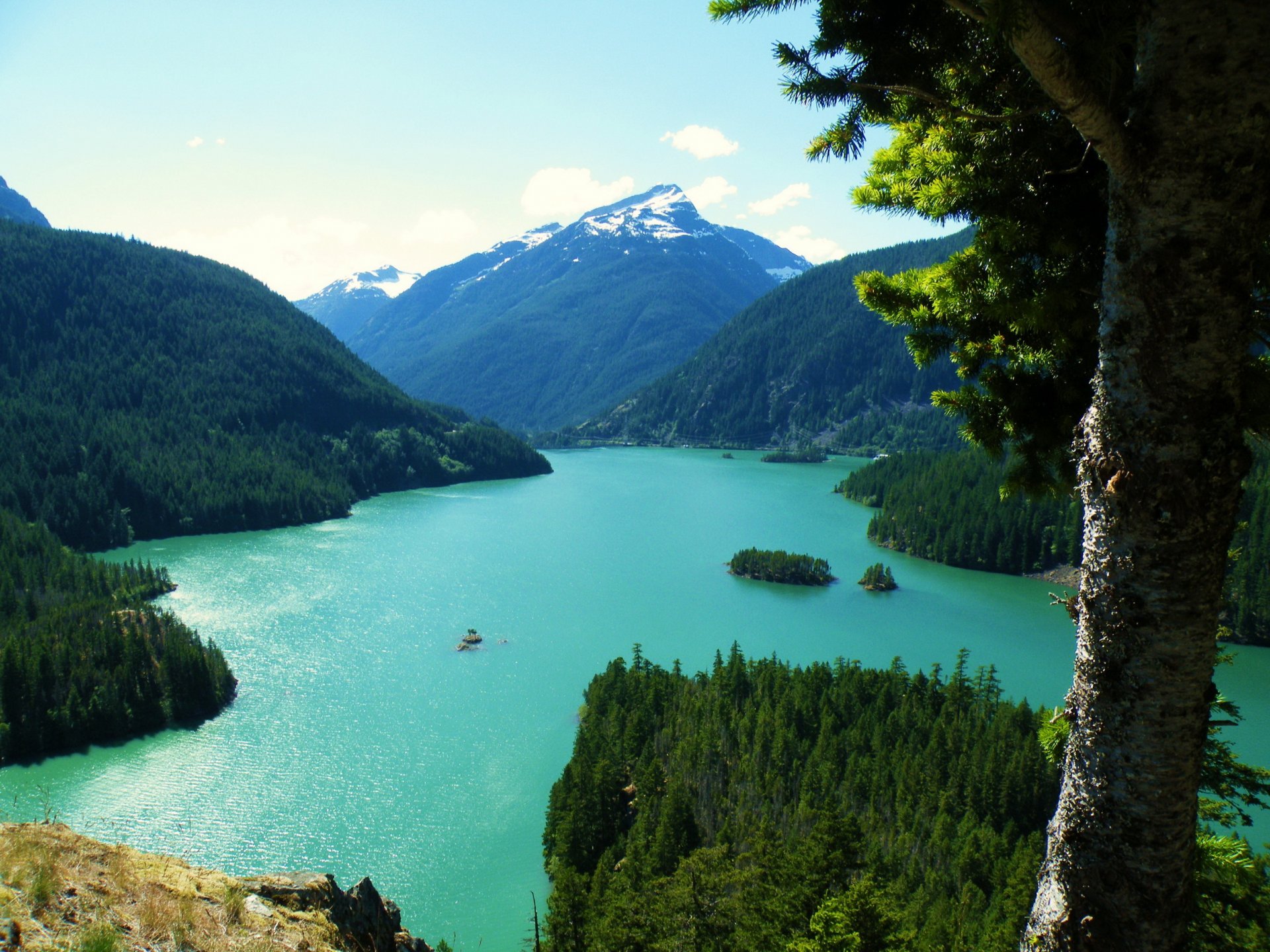 lake united states mountain landscape washington diablo trunk tree from the top nature photo