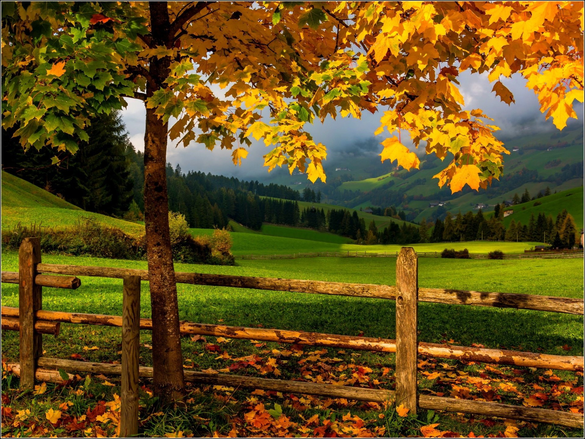 natur wald bäume berge gras blätter bunt straße herbst herbst farben zu fuß himmel