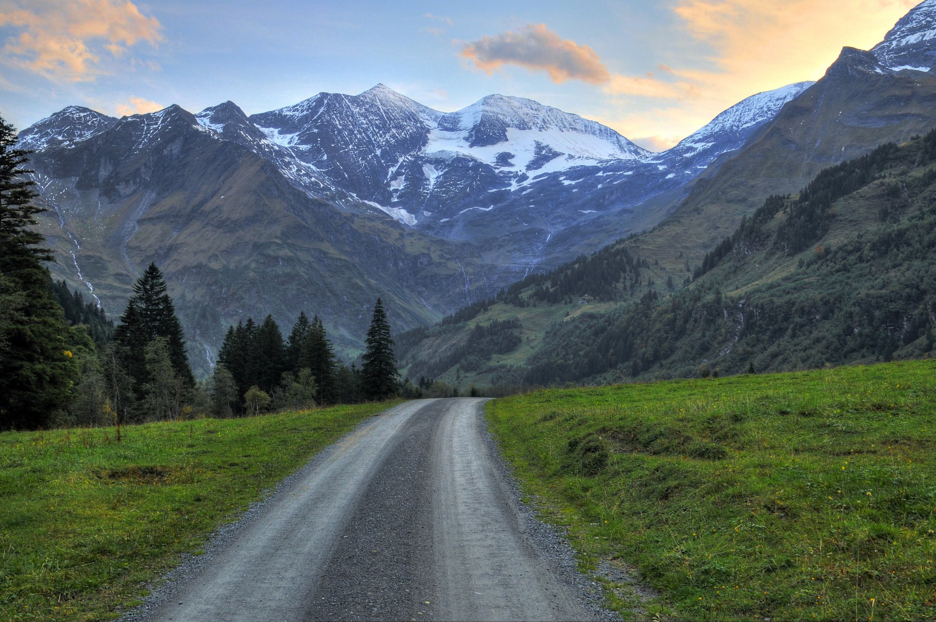 mountain snow forest tree grass road