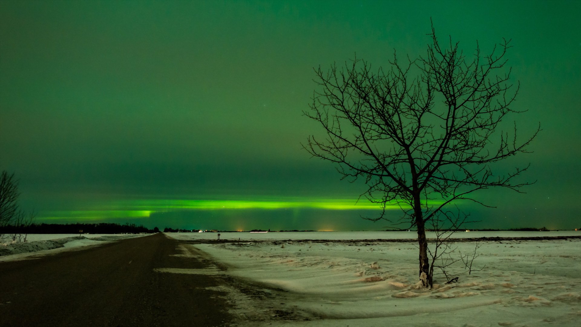 strada albero inverno notte paesaggio