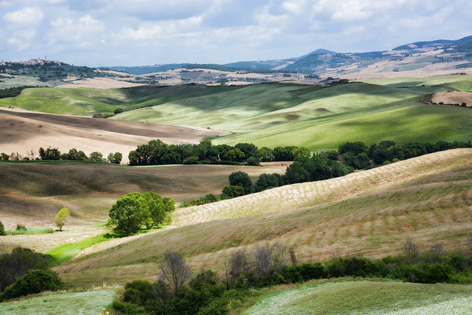 italie toscane collines champs paysage nature