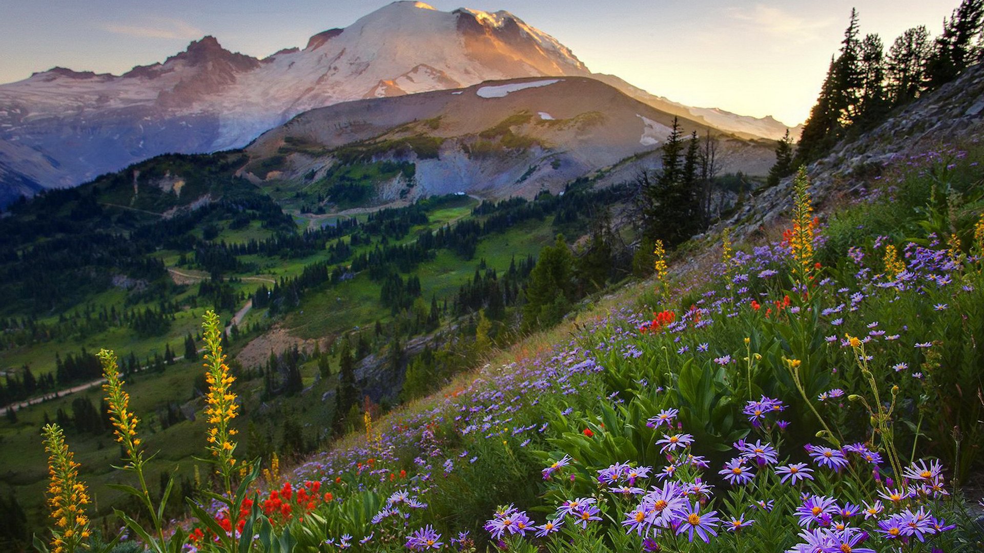 himmel berge sonnenuntergang sommer blumen gras