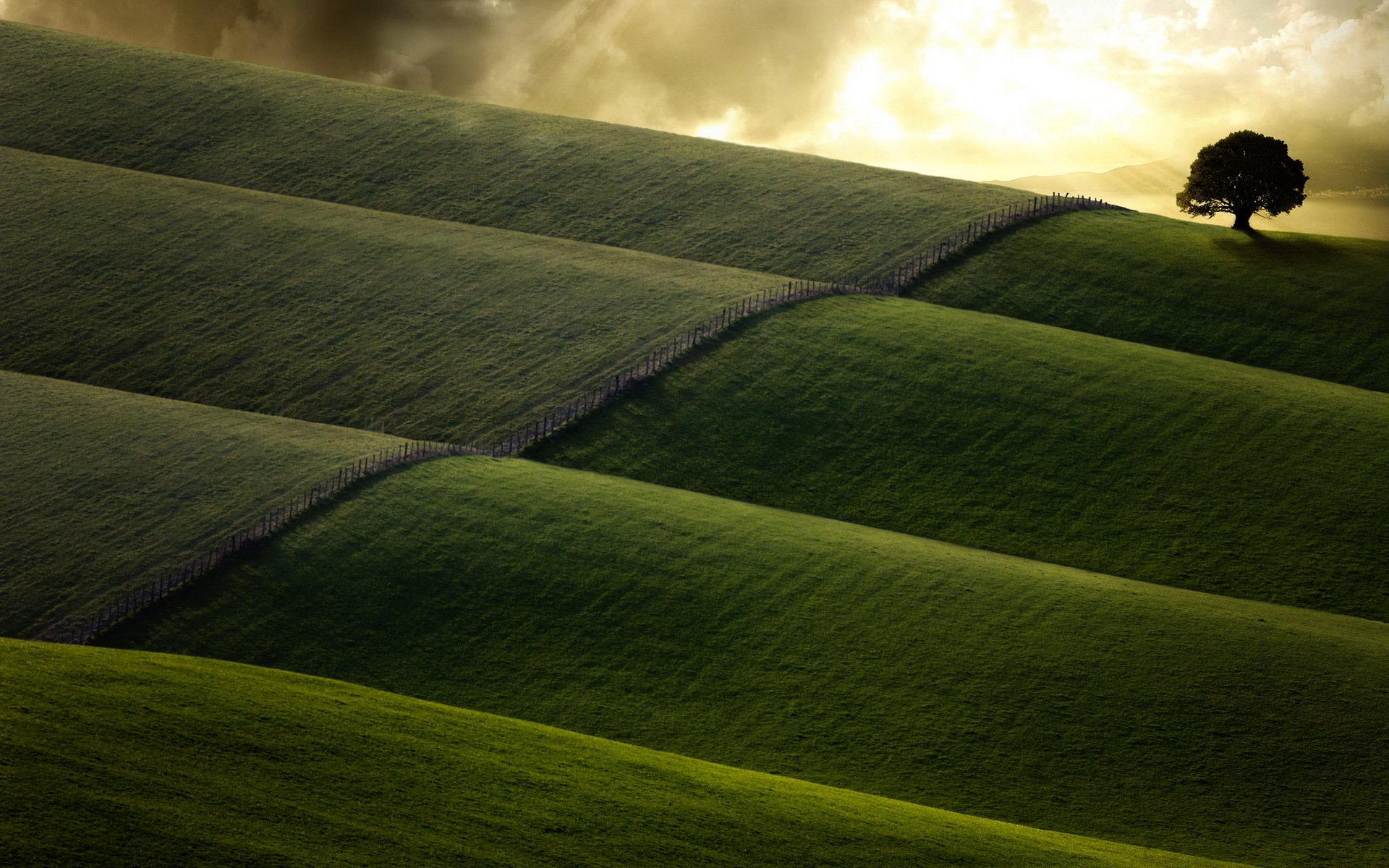 feld zaun baum landschaft