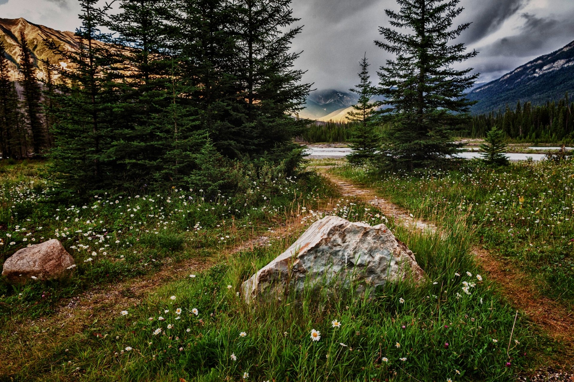 natur berge blumen landschaft gras bäume himmel wolken ansicht wald