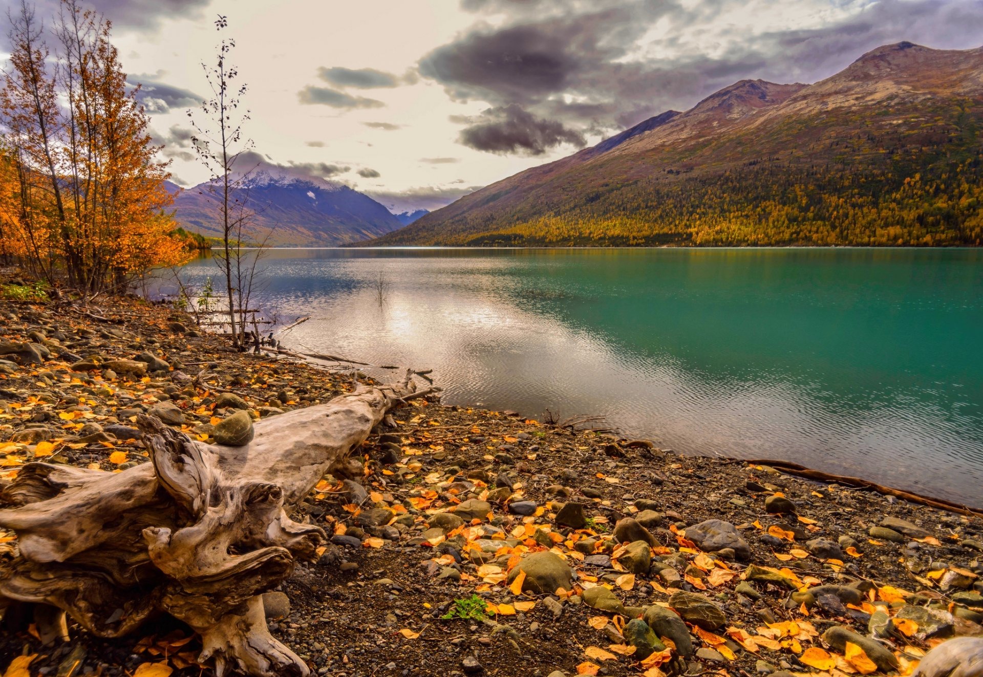 natura montagne cielo nuvole fiume acqua foresta parco alberi foglie colorato autunno caduta colori passeggiata