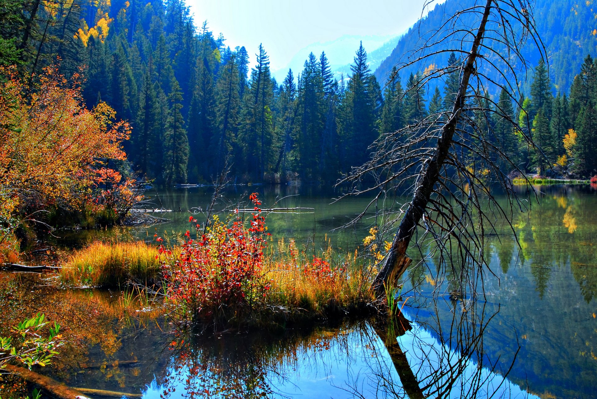 paisaje belleza naturaleza lago agua. reflexión árboles. hoja. otoño cielo
