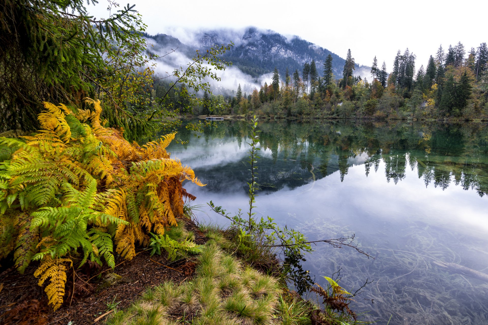 suisse montagnes lac automne