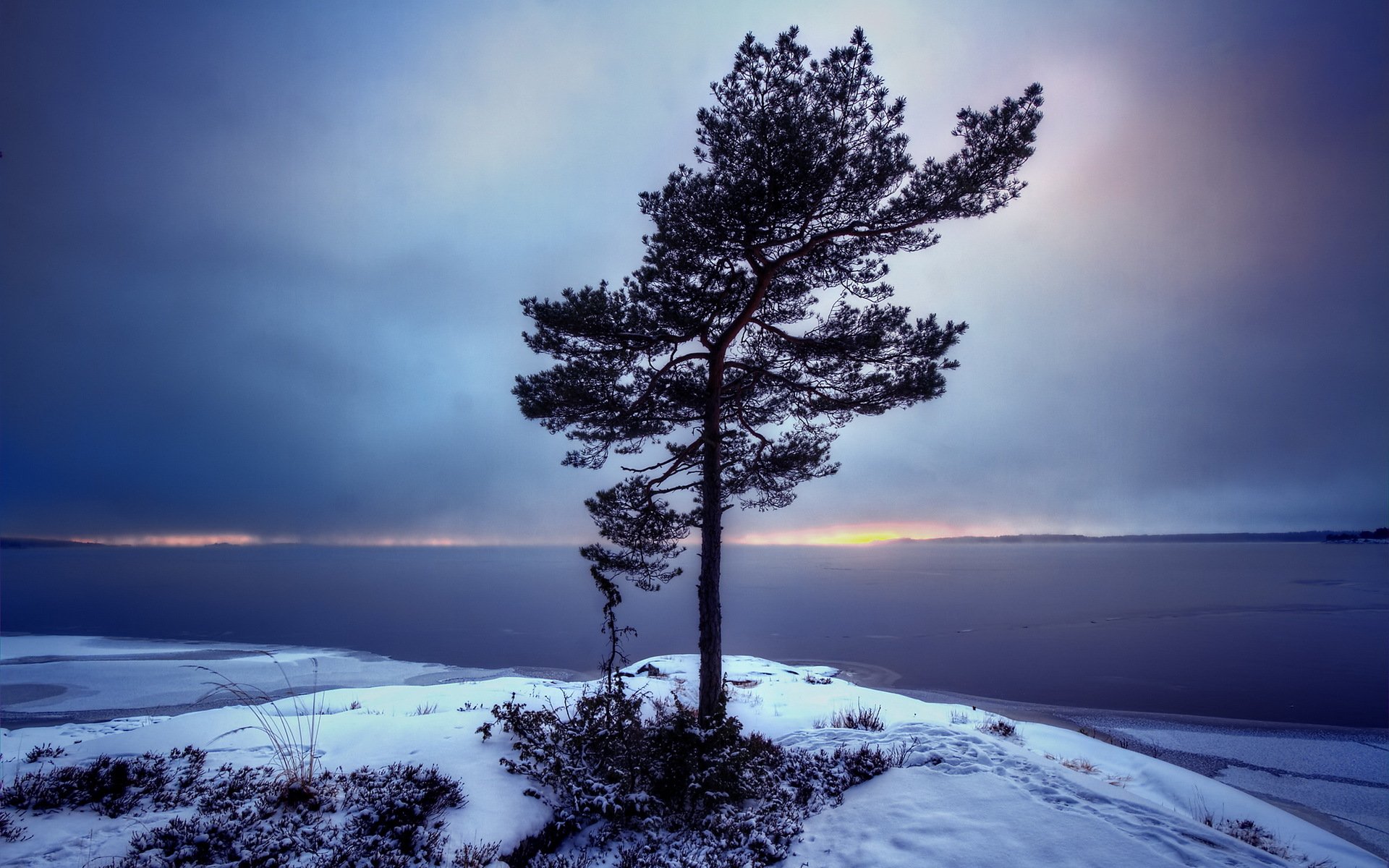 weden varmland bergvik tree landscape