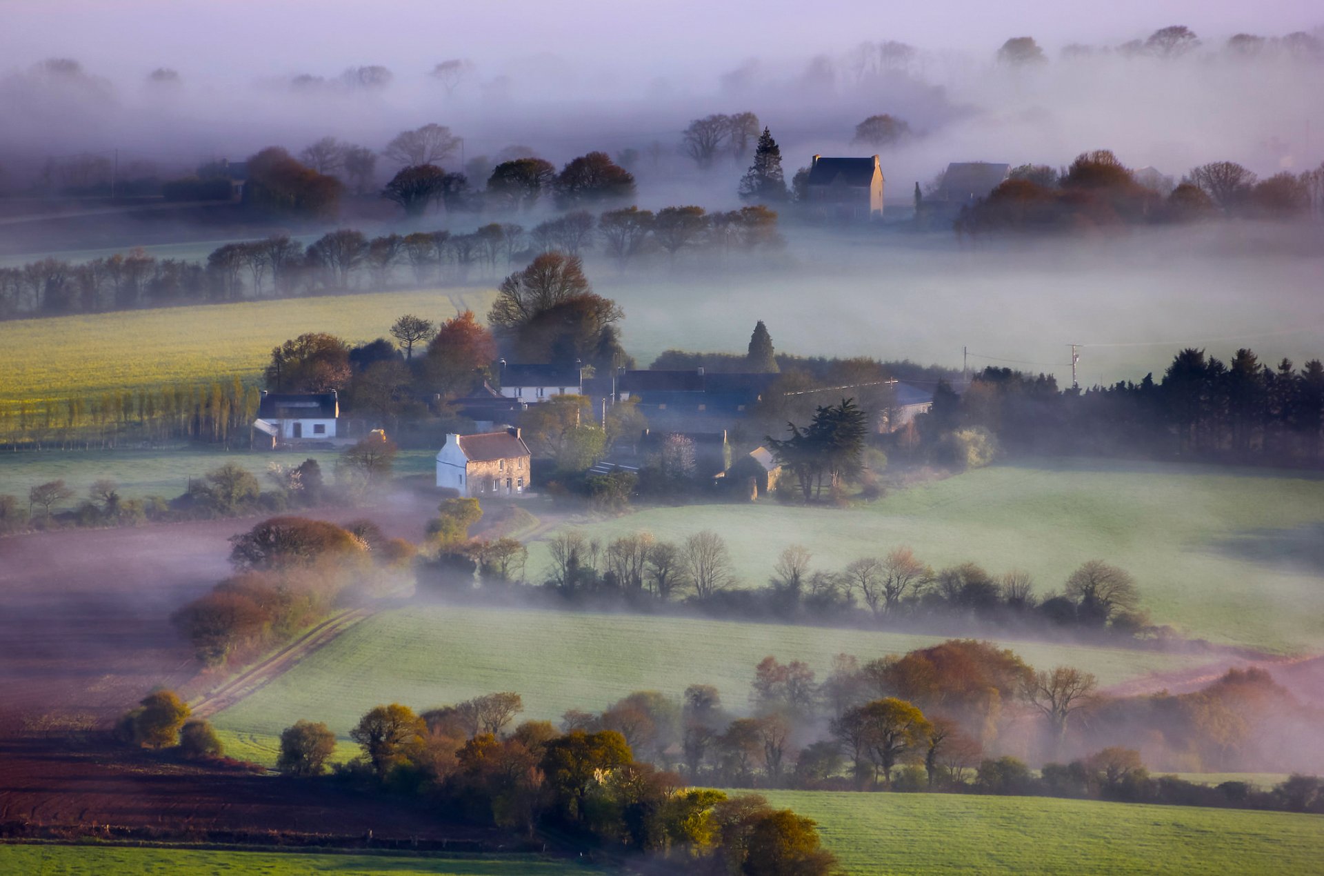 england häuser felder bäume nebel
