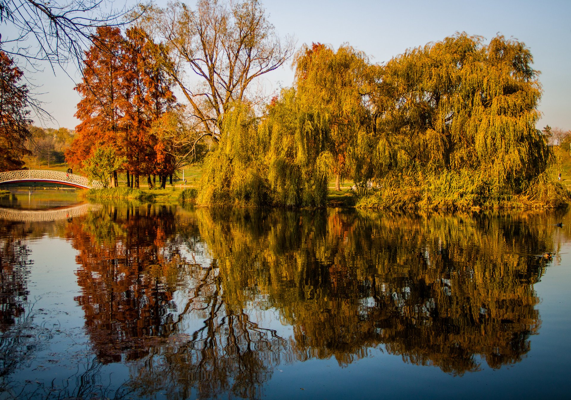 park teich bäume herbst