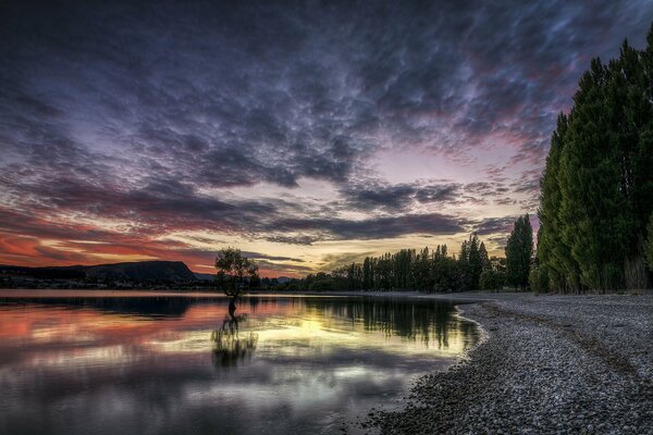 Sunset over the lake in the forest