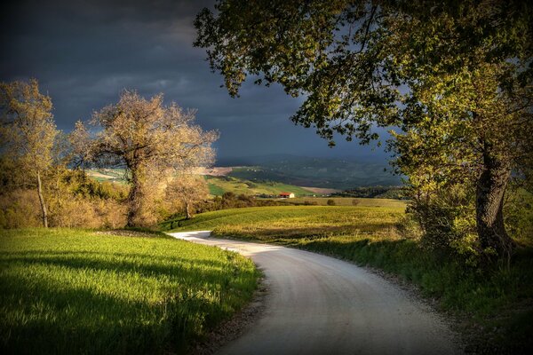 Route entre prairies et champs en Italie