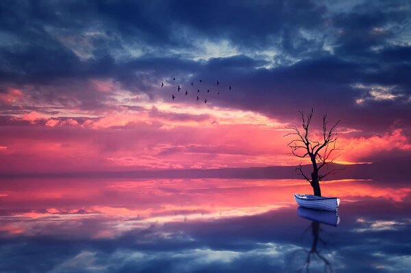 Barca solitaria sotto un albero al tramonto scarlatto