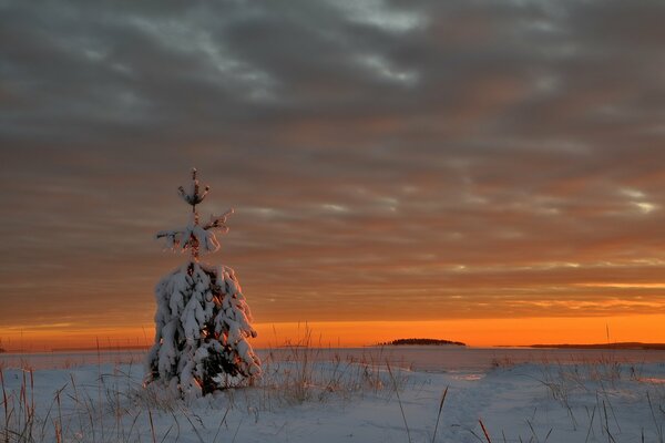 Foto puesta de sol en invierno