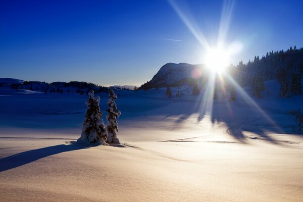 Lumière d un matin d hiver glacial